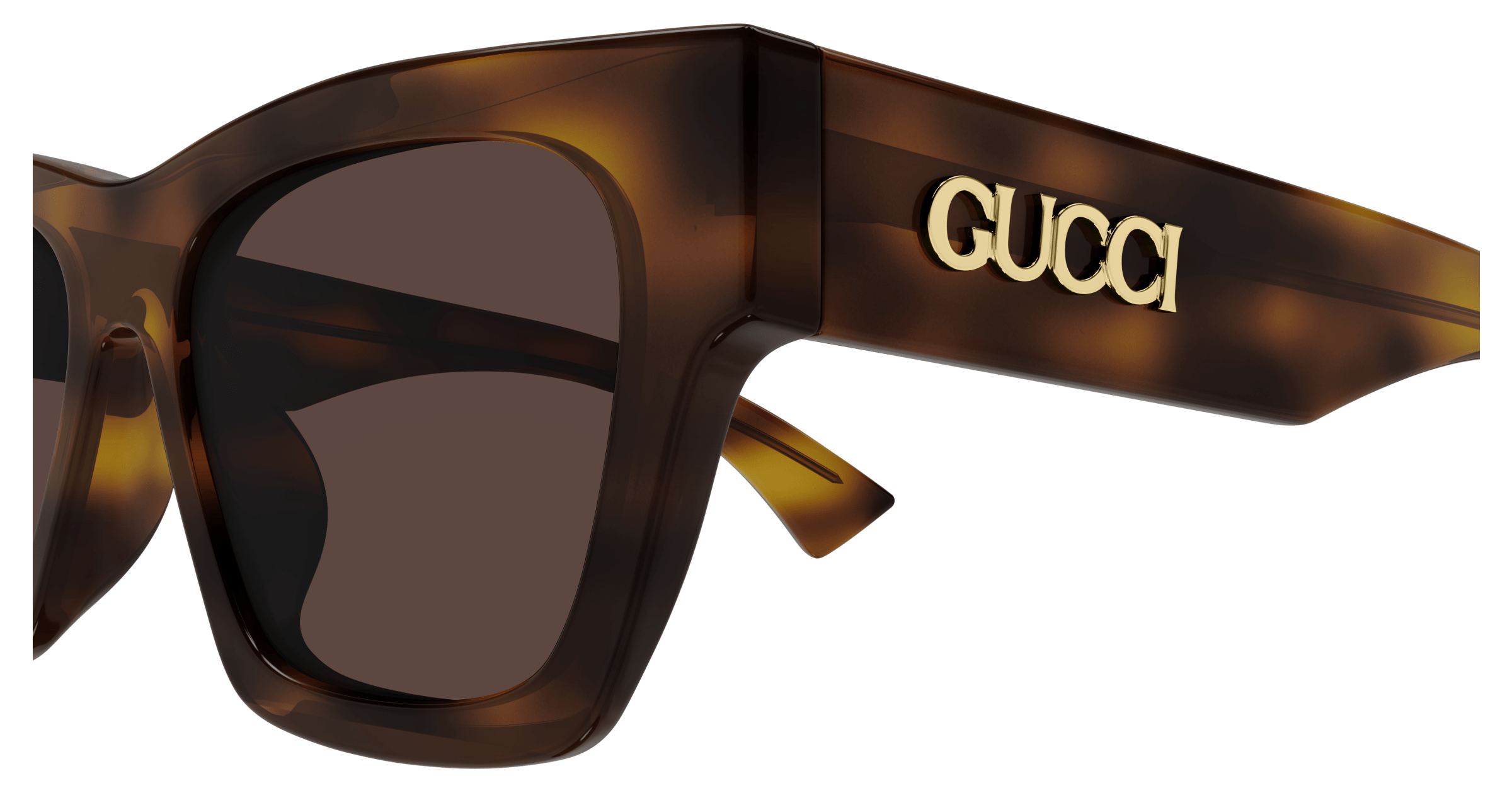 Gucci GG1835S Havana 889652530222
