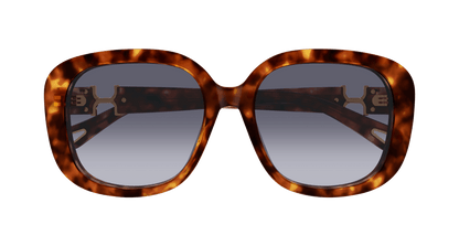 Chloe CH0303SK Sunglasses 889652544243