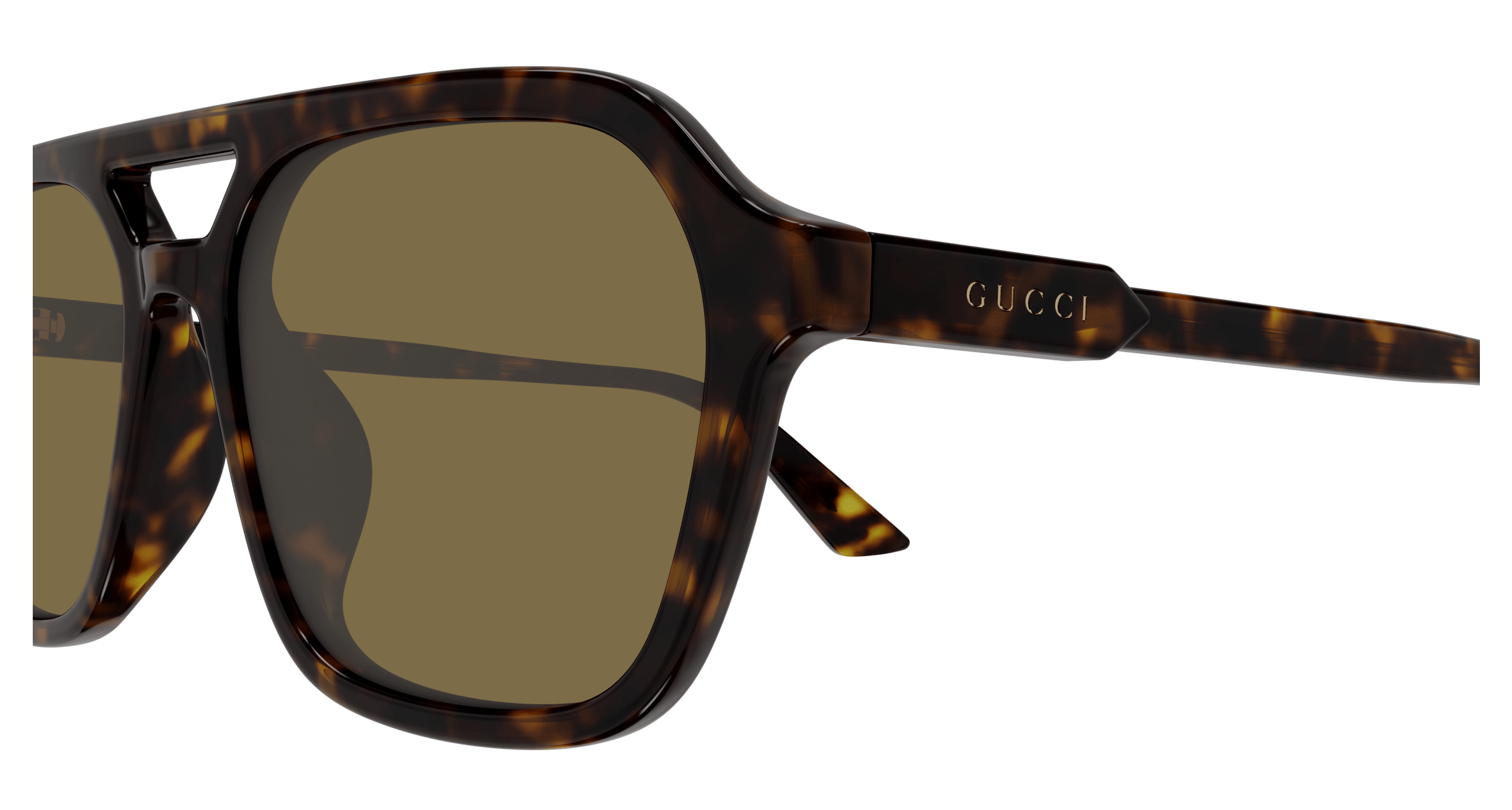 Havana Sunglasses Gucci 889652526393