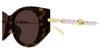 Gucci GG1970SA Havana 889652569048