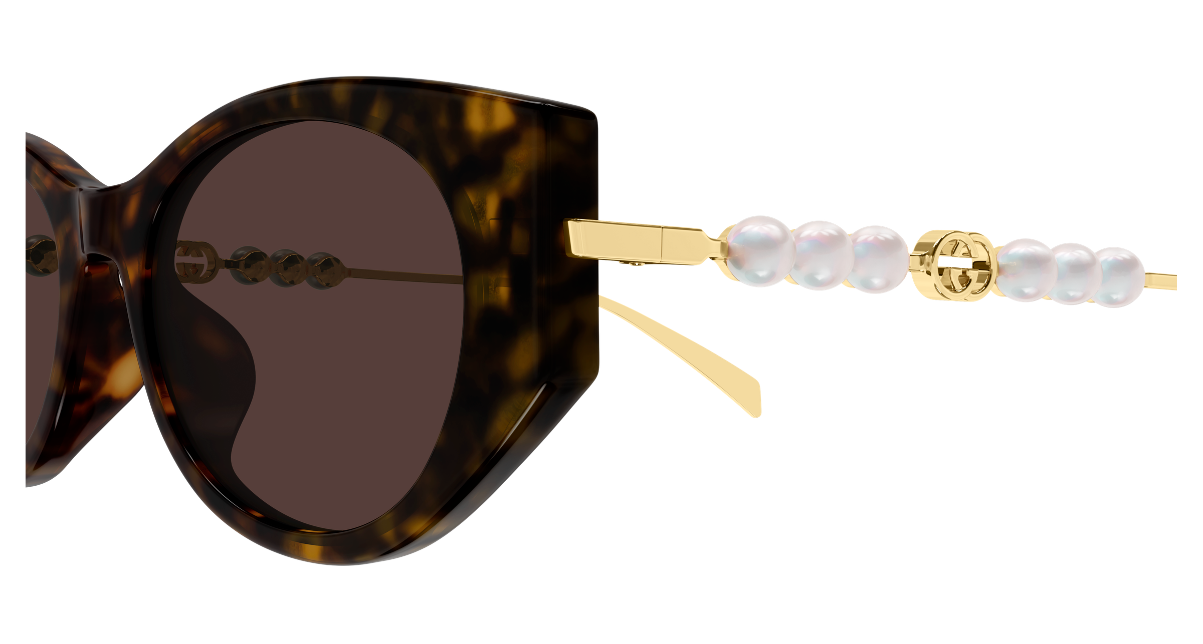 Gucci GG1970SA Havana 889652569048