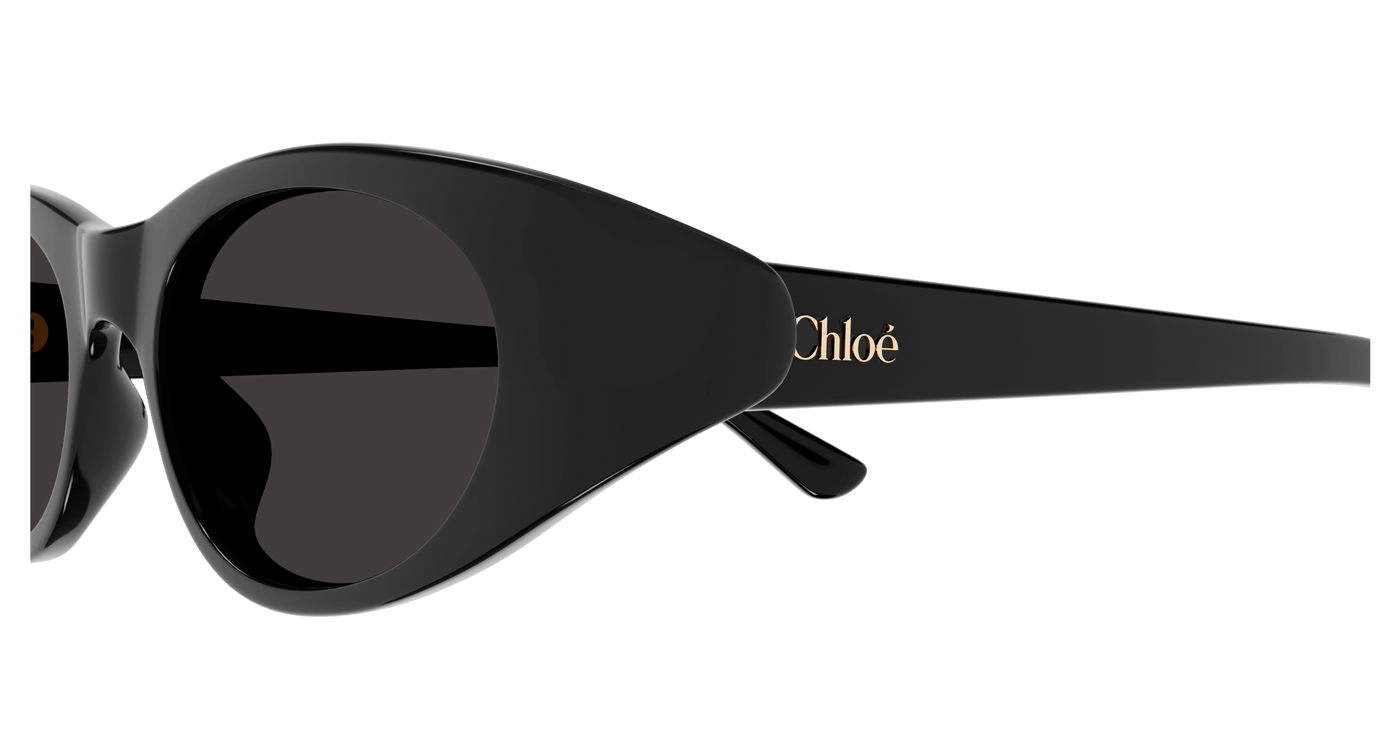 Chloe CH0279S Sunglasses 889652523408