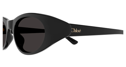 Chloe CH0279S Sunglasses 889652523408