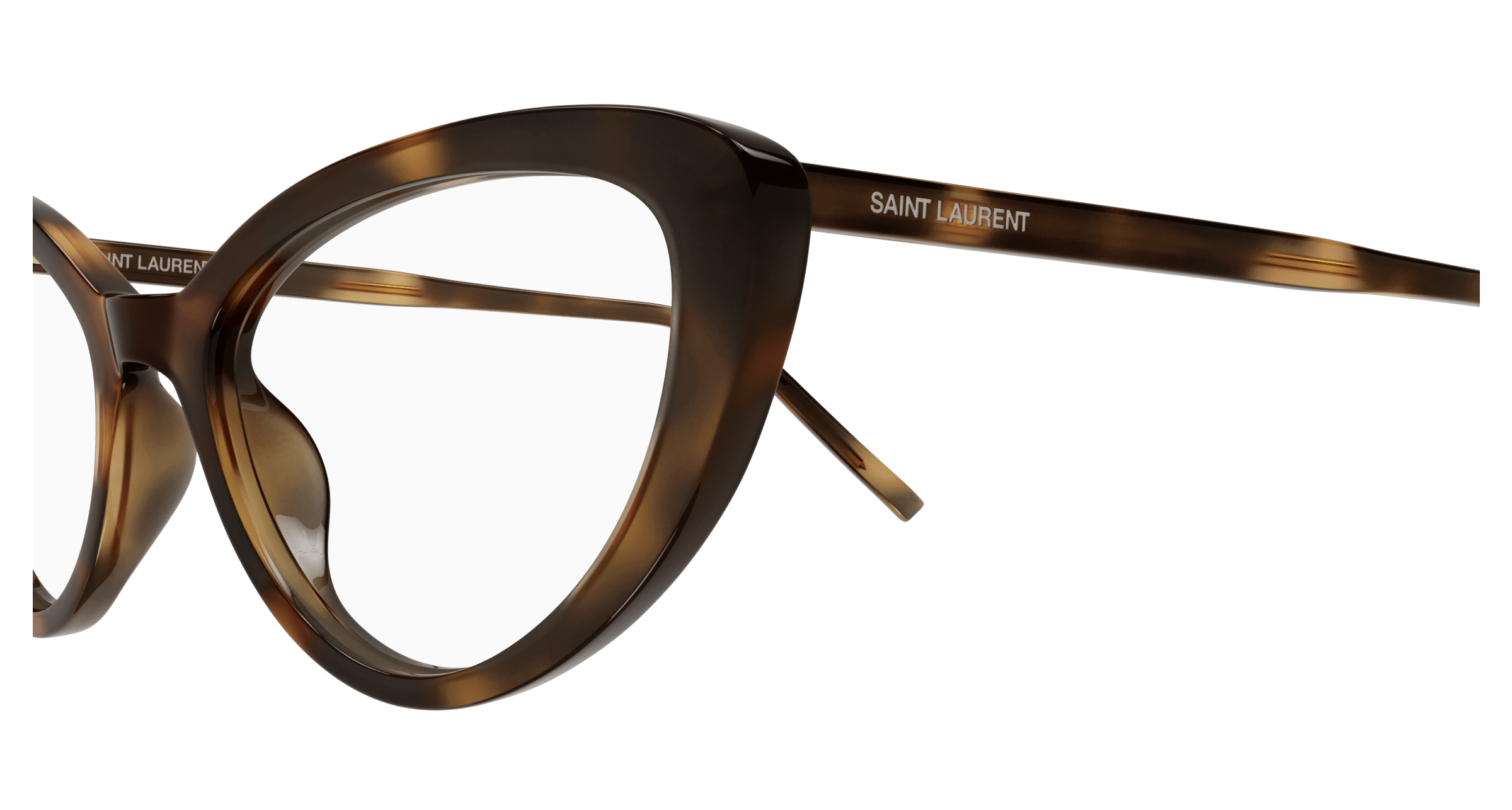 Havana Eyeglasses Saint Laurent 889652555751