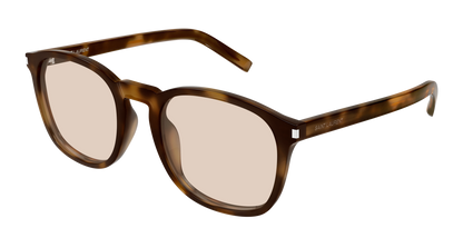 Saint Laurent SL 818 Havana 444 889652585444