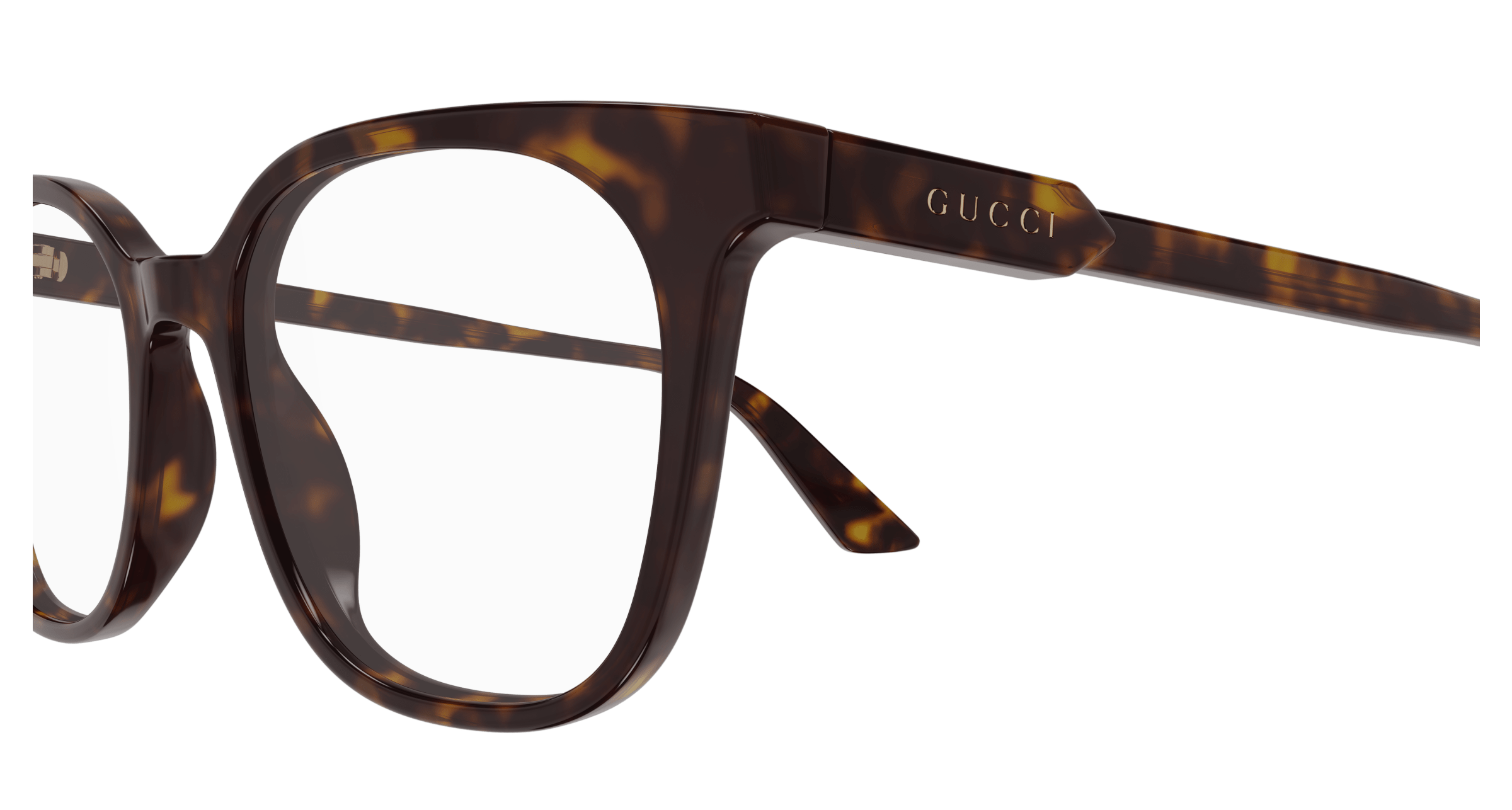 Havana Eyeglasses Gucci 889652527642