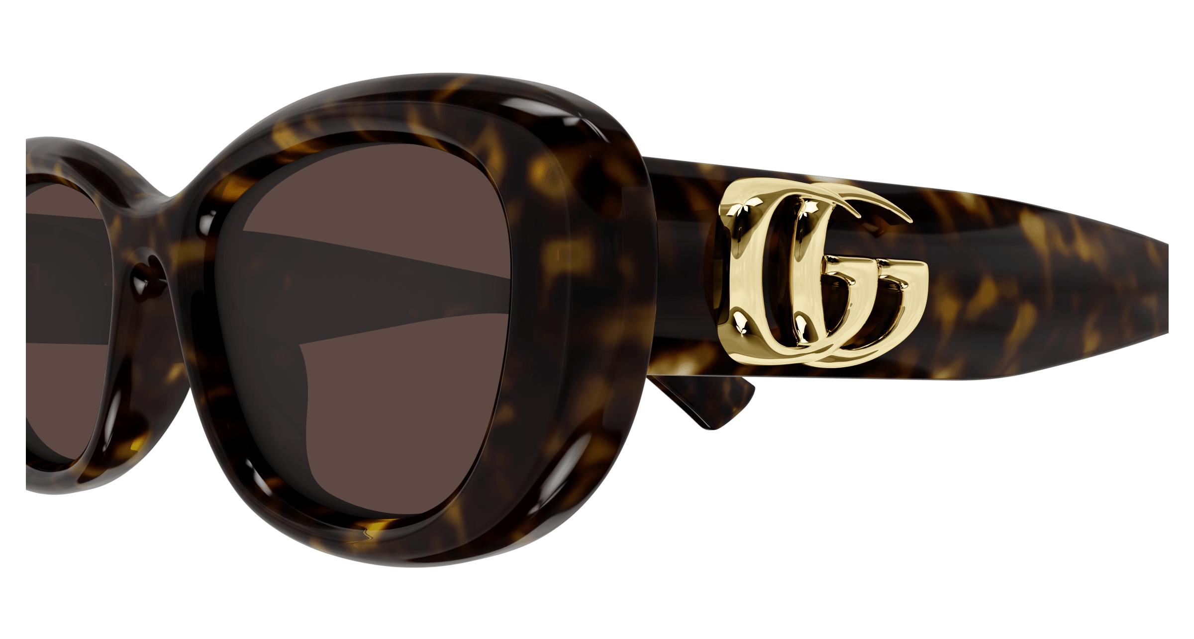 Havana Sunglasses Gucci 889652525747