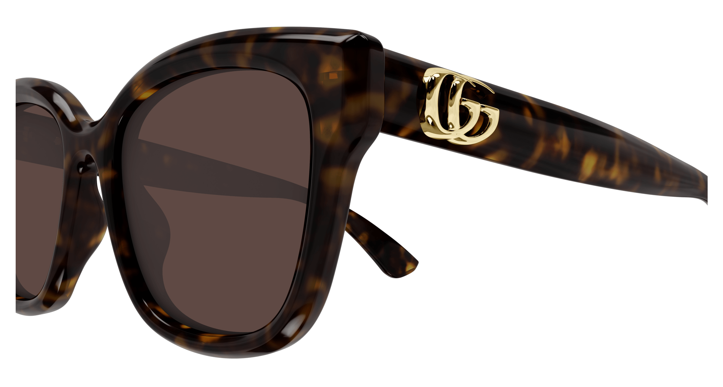 Havana Sunglasses Gucci 889652525761