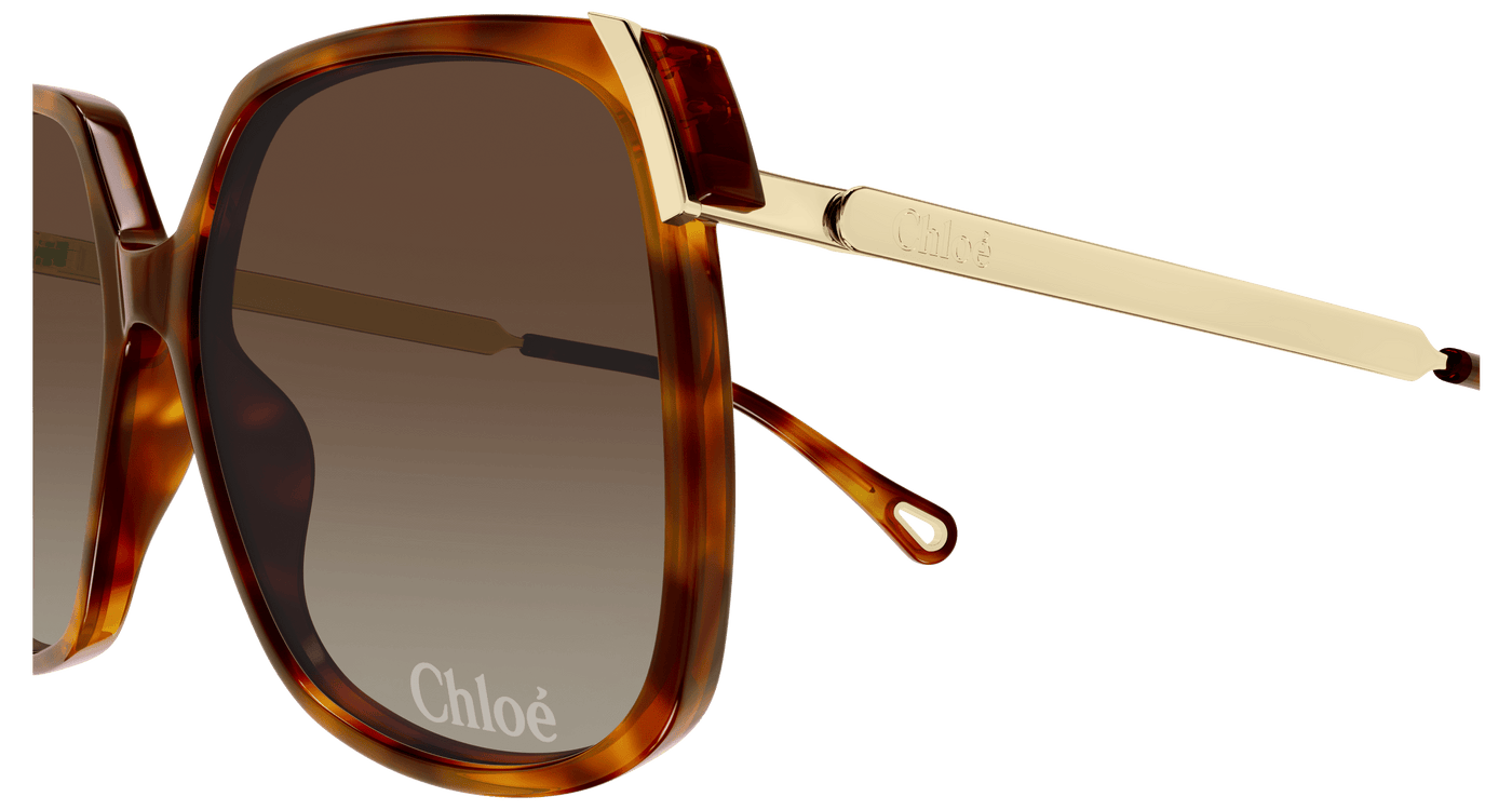 Chloe CH0286S Sunglasses 889652548449