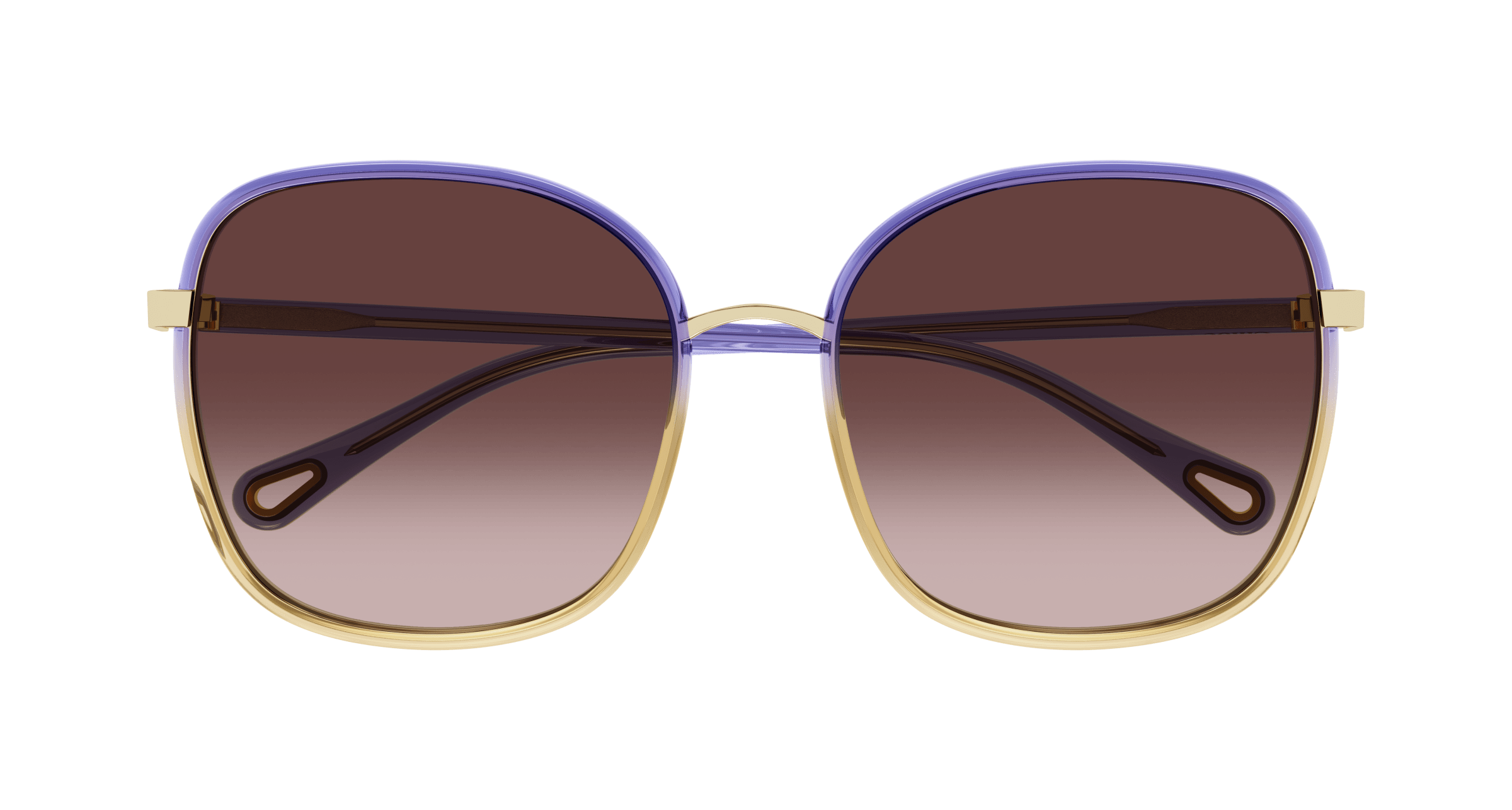 Chloe CH0031S Sunglasses 889652543444