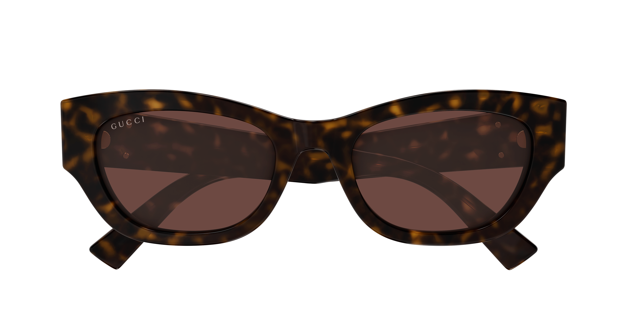 Gucci GG1954SA Havana 889652568089