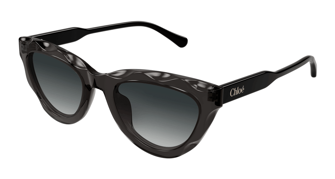 Chloe CH0294S Sunglasses 889652543826