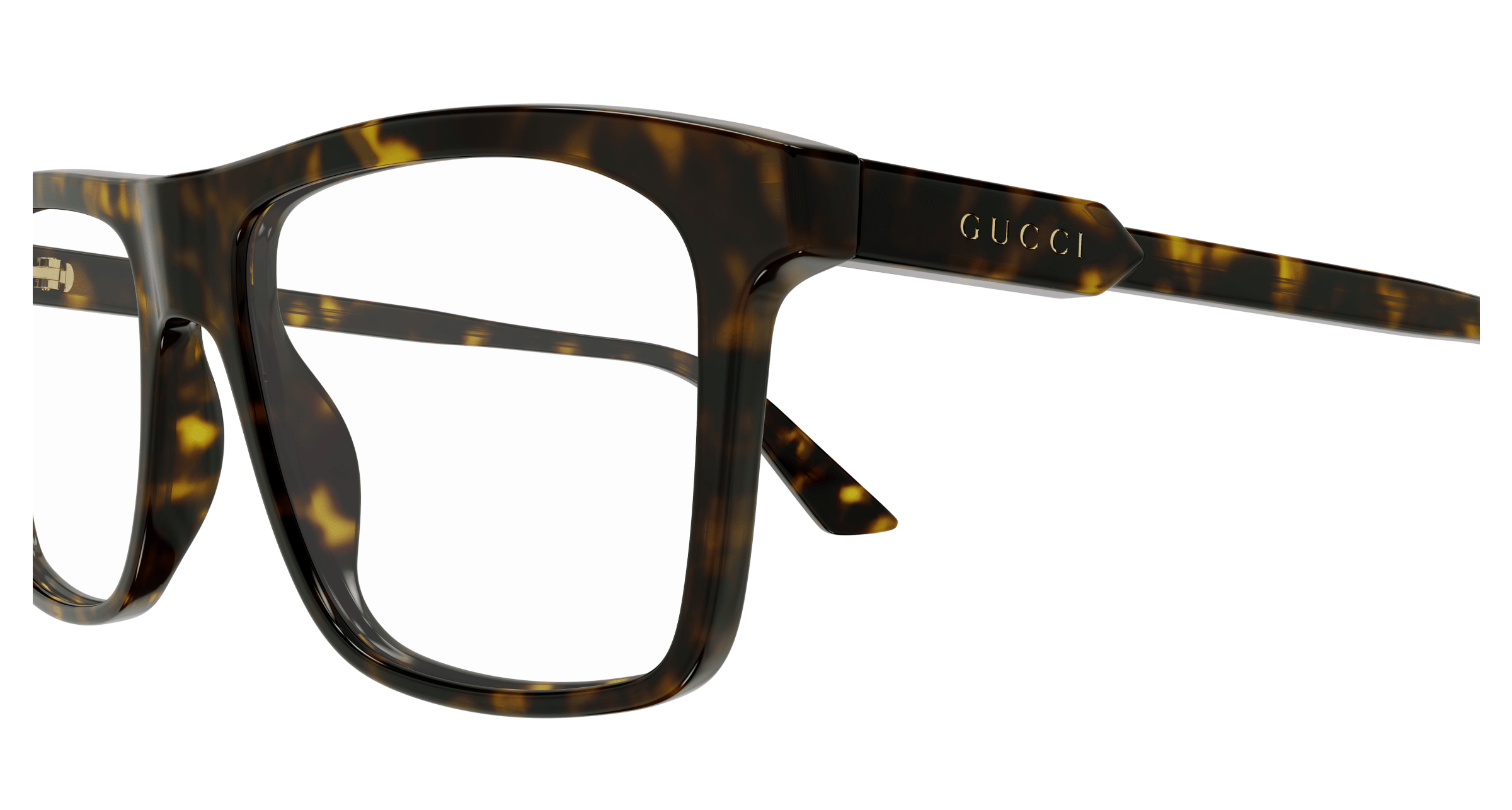 Havana Eyeglasses Gucci 889652530987