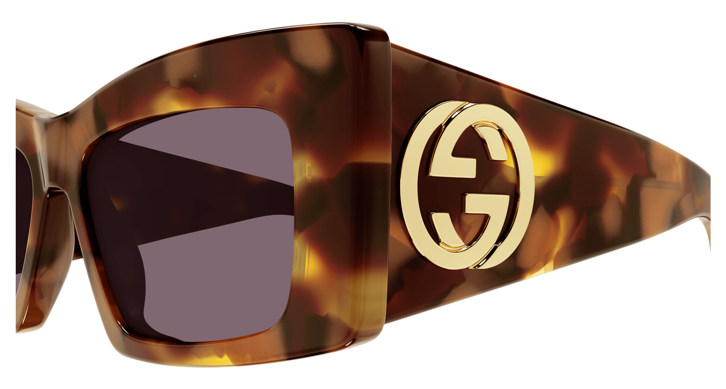 Havana Sunglasses Gucci 889652528755