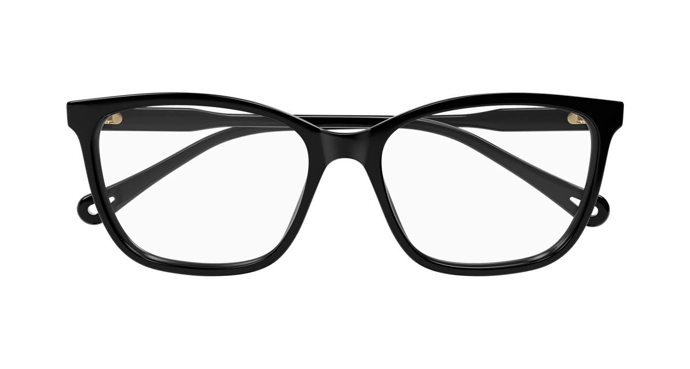 Chloe CH0318O Eyeglasses 889652550923