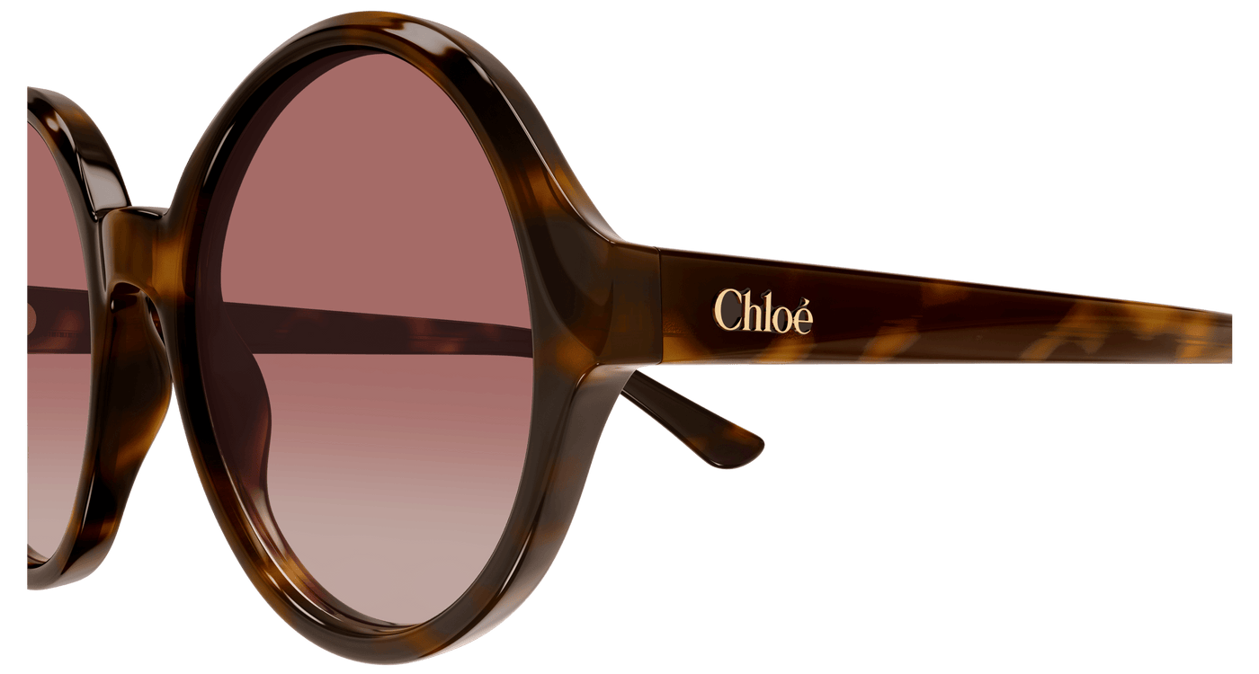 Chloe CH0290S Sunglasses 889652543611