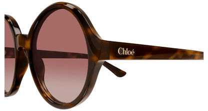 Chloe CH0290S Sunglasses 889652543611