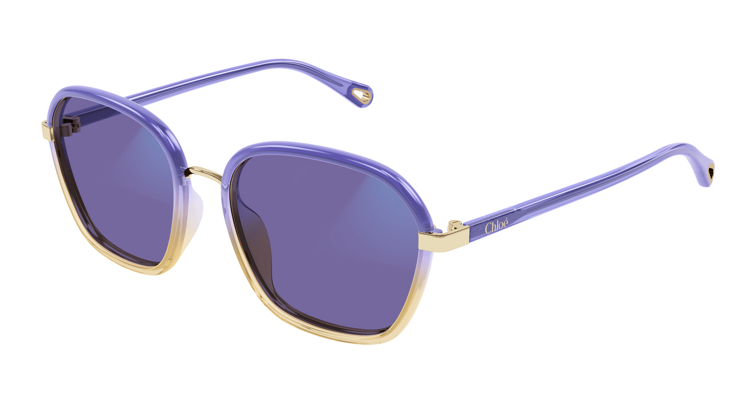 Chloe CH0309S Sunglasses 889652544557