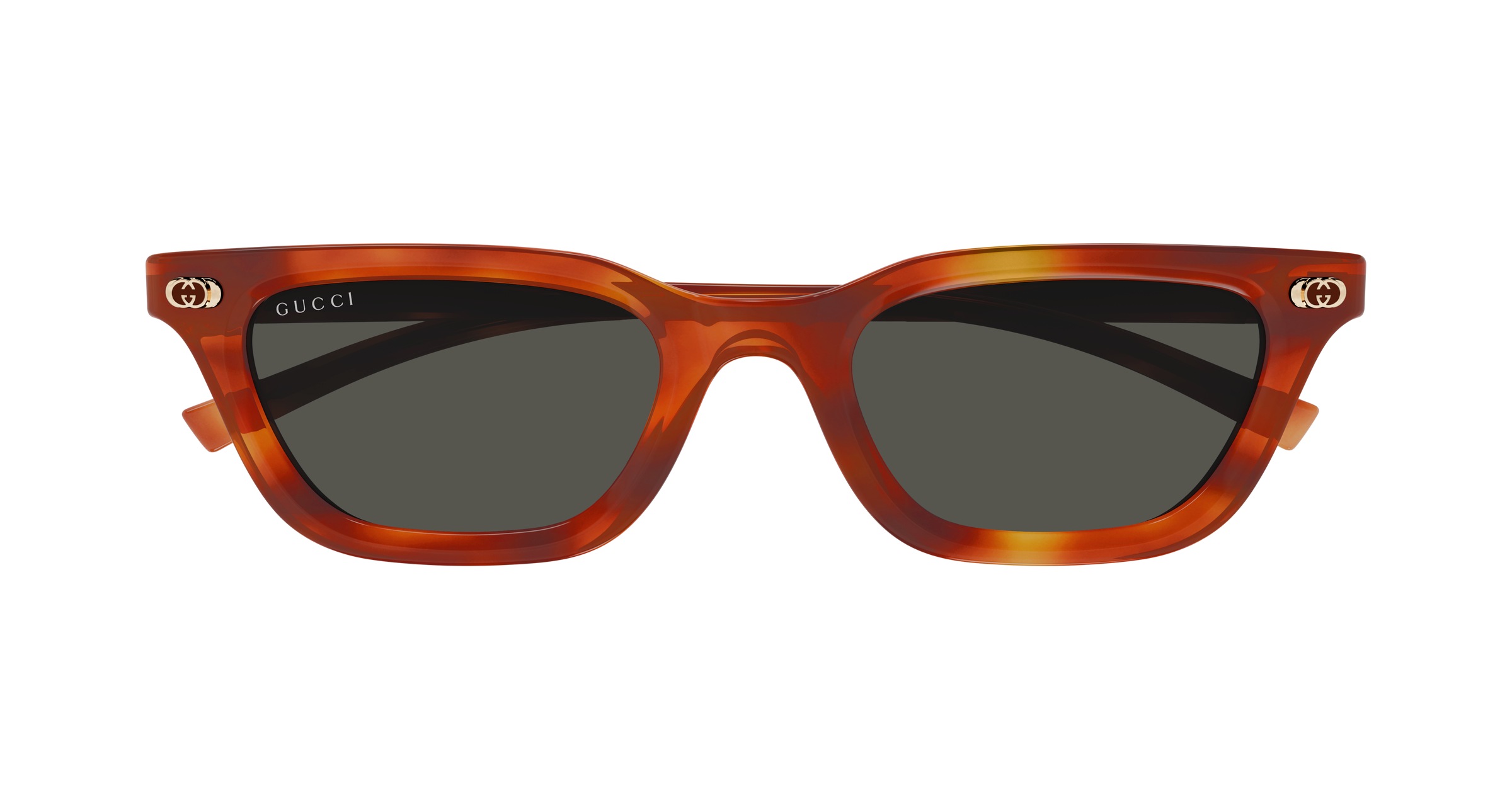 Gucci GG1944S Havana 002 889652567150