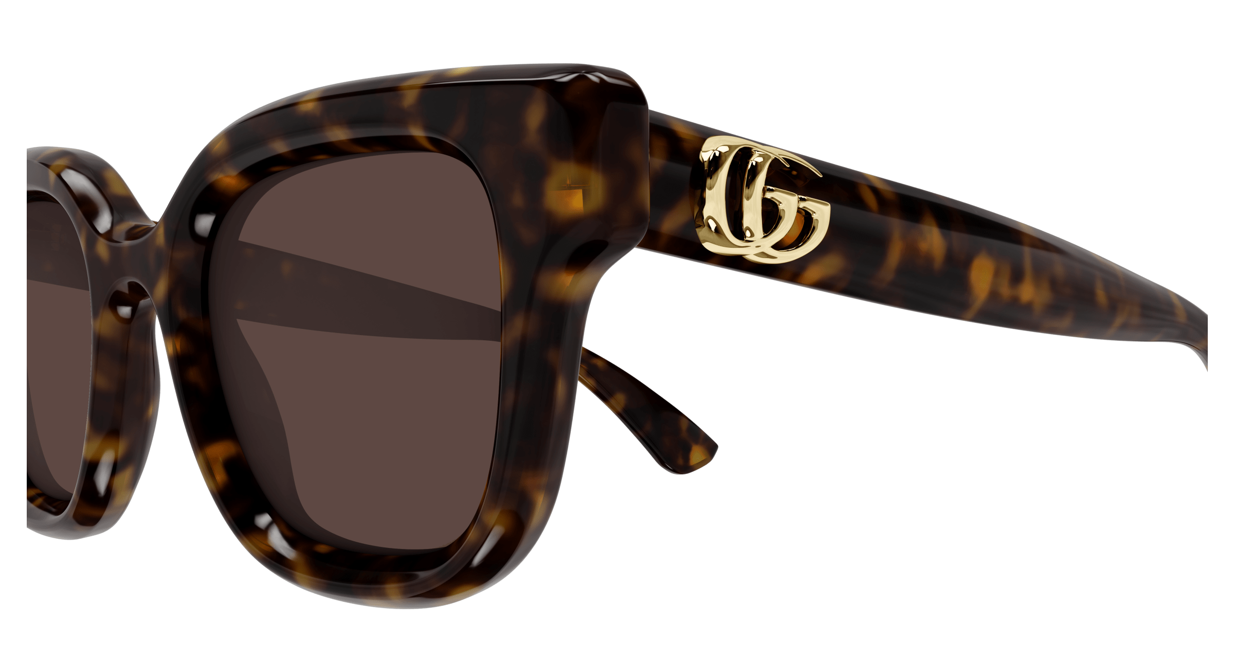 Havana Sunglasses Gucci 889652527208