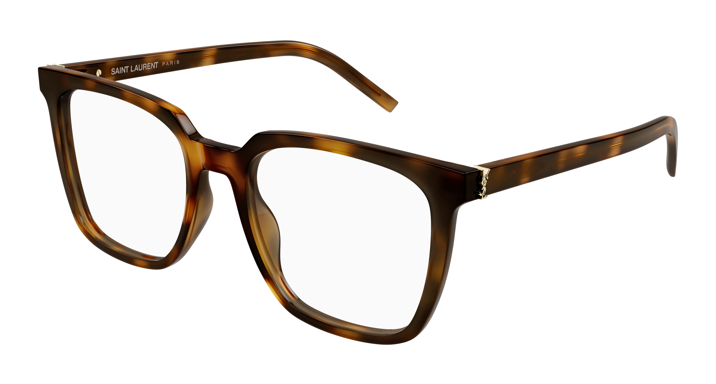 Saint Laurent SL M146 OPT Havana 338 889652556338