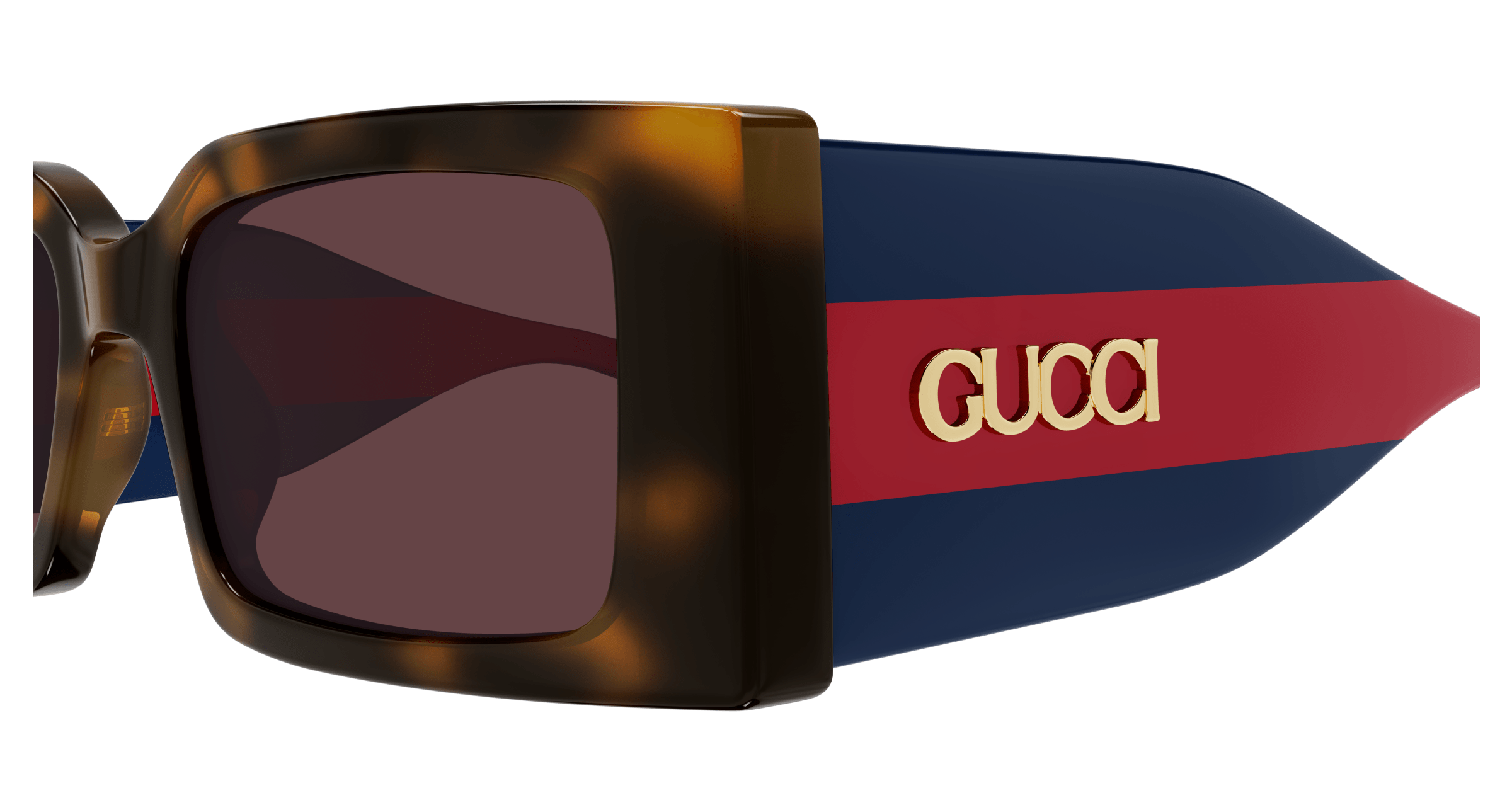 Havana Sunglasses Gucci 889652531014