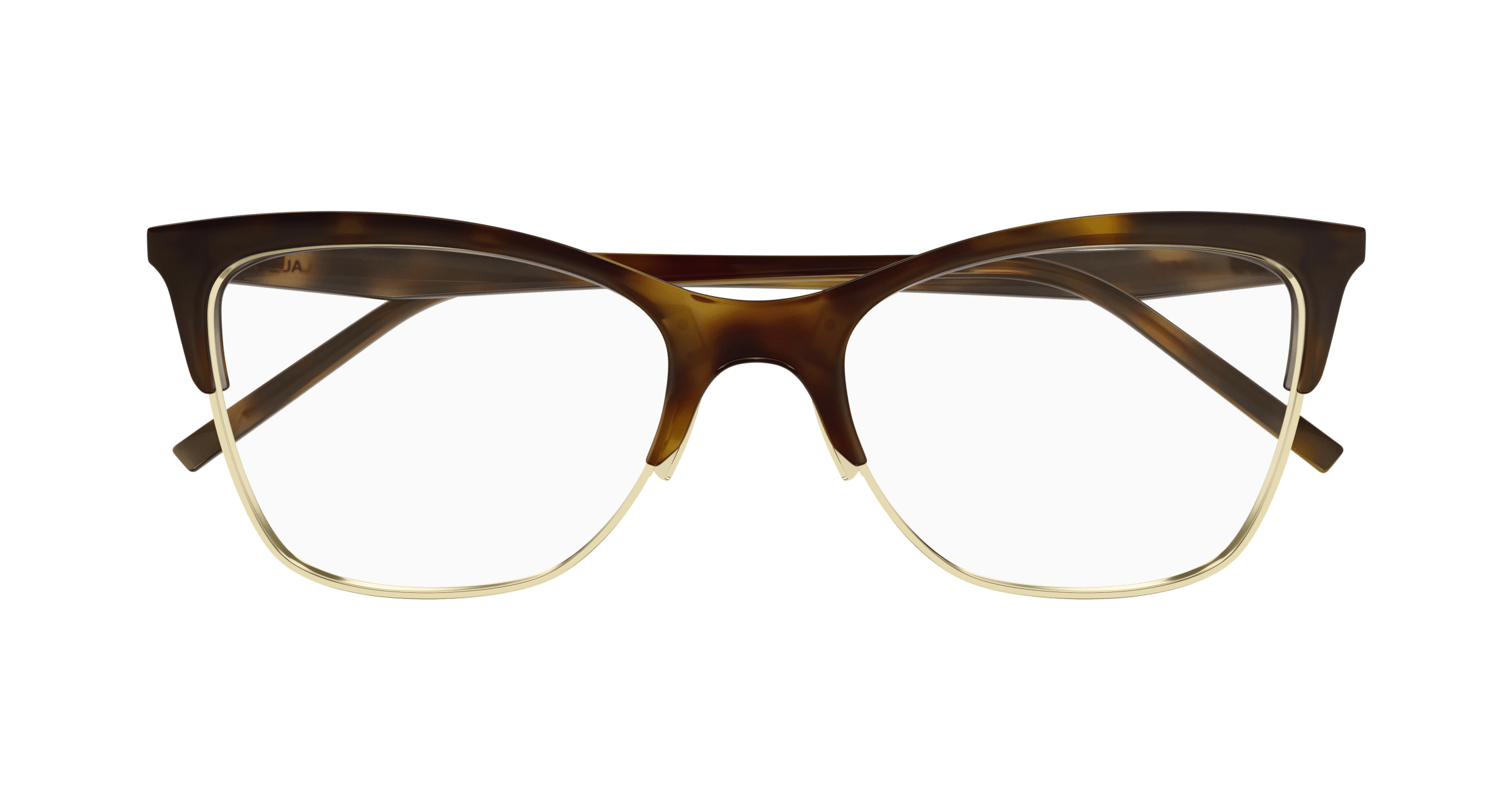 Havana Eyeglasses Saint Laurent 889652555645