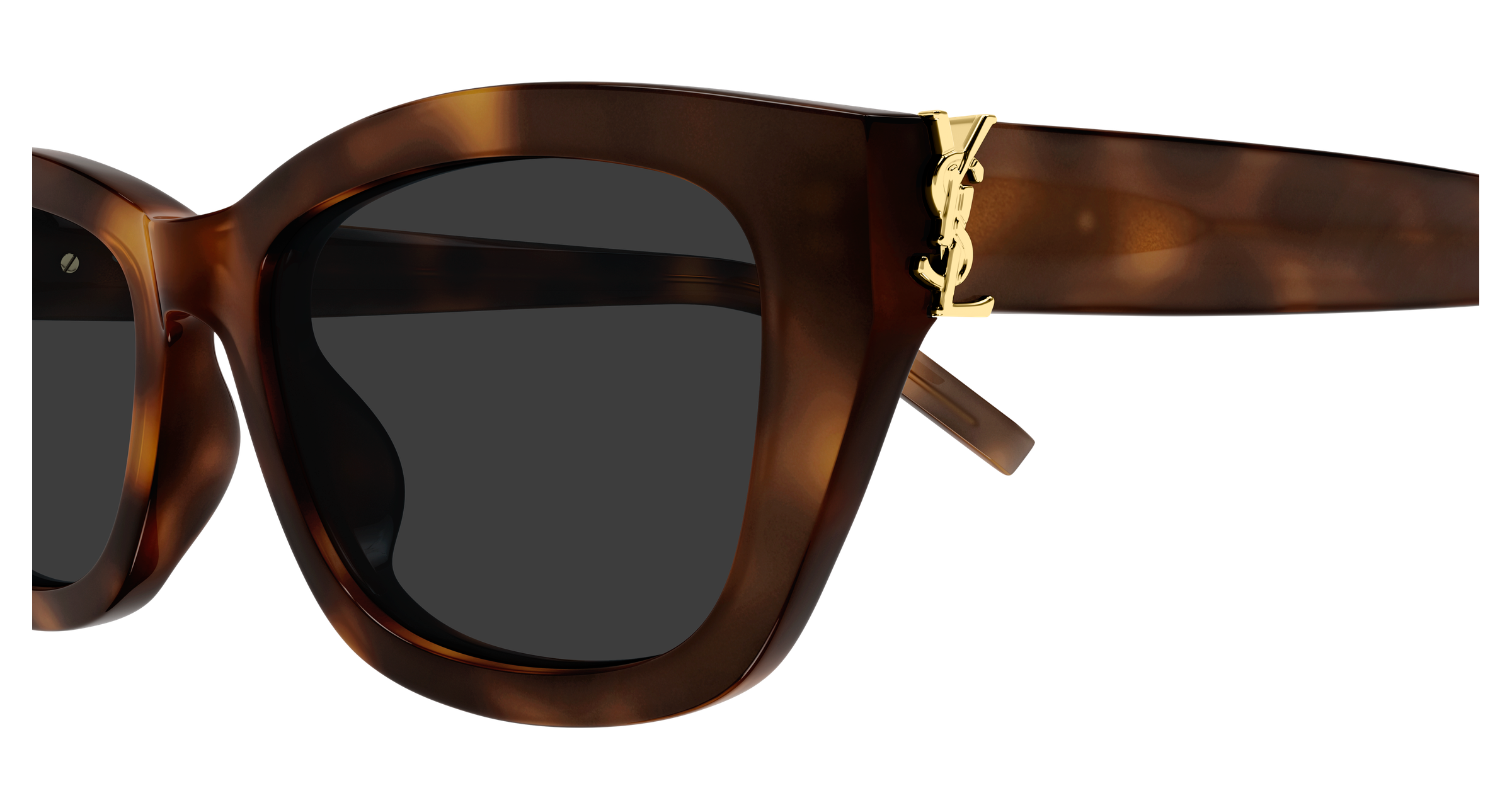 Saint Laurent SL M153 Havana 217 889652606217