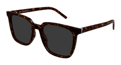 Saint Laurent SL M146 Havana 881 889652555881
