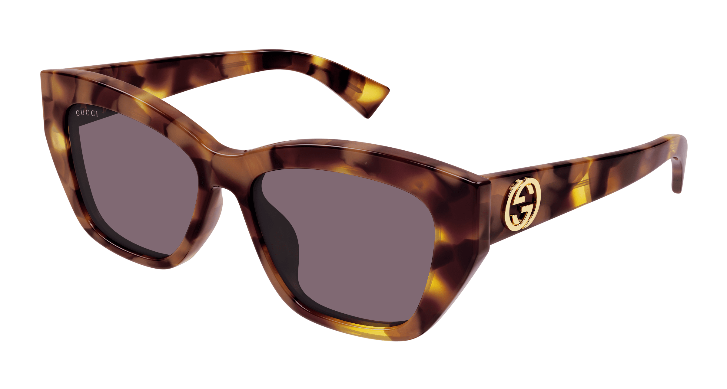 Havana Sunglasses Gucci 889652525631