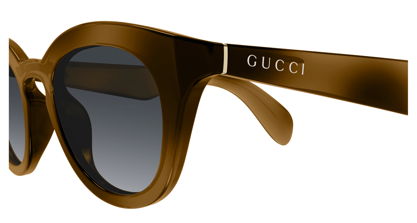 Gucci GG1934S Havana 003 889652570440