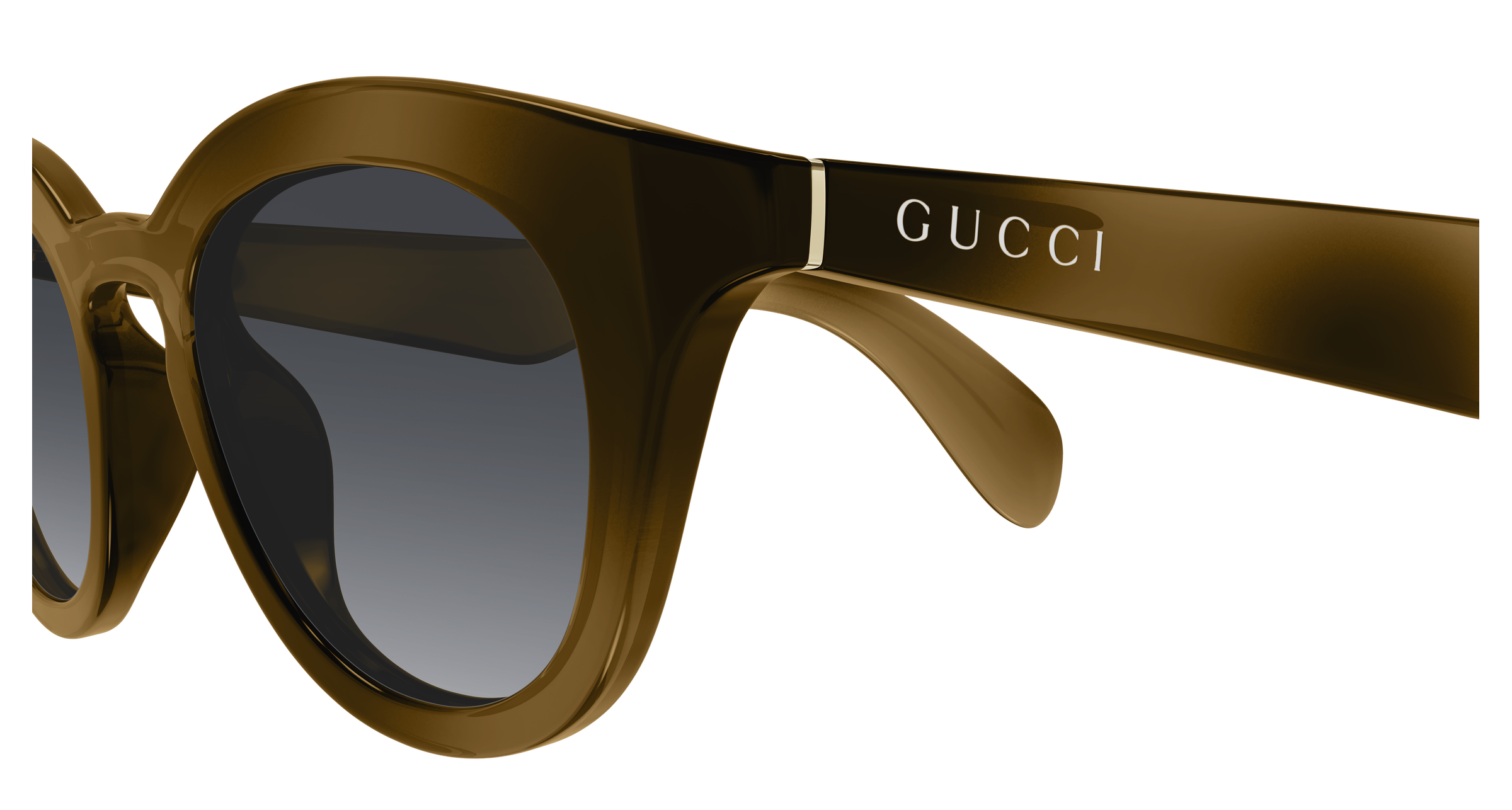 Gucci GG1934S Havana 003 889652570440