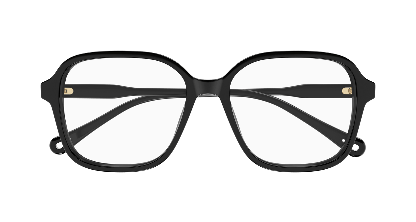 Chloe CH0317OA Eyeglasses 889652544748