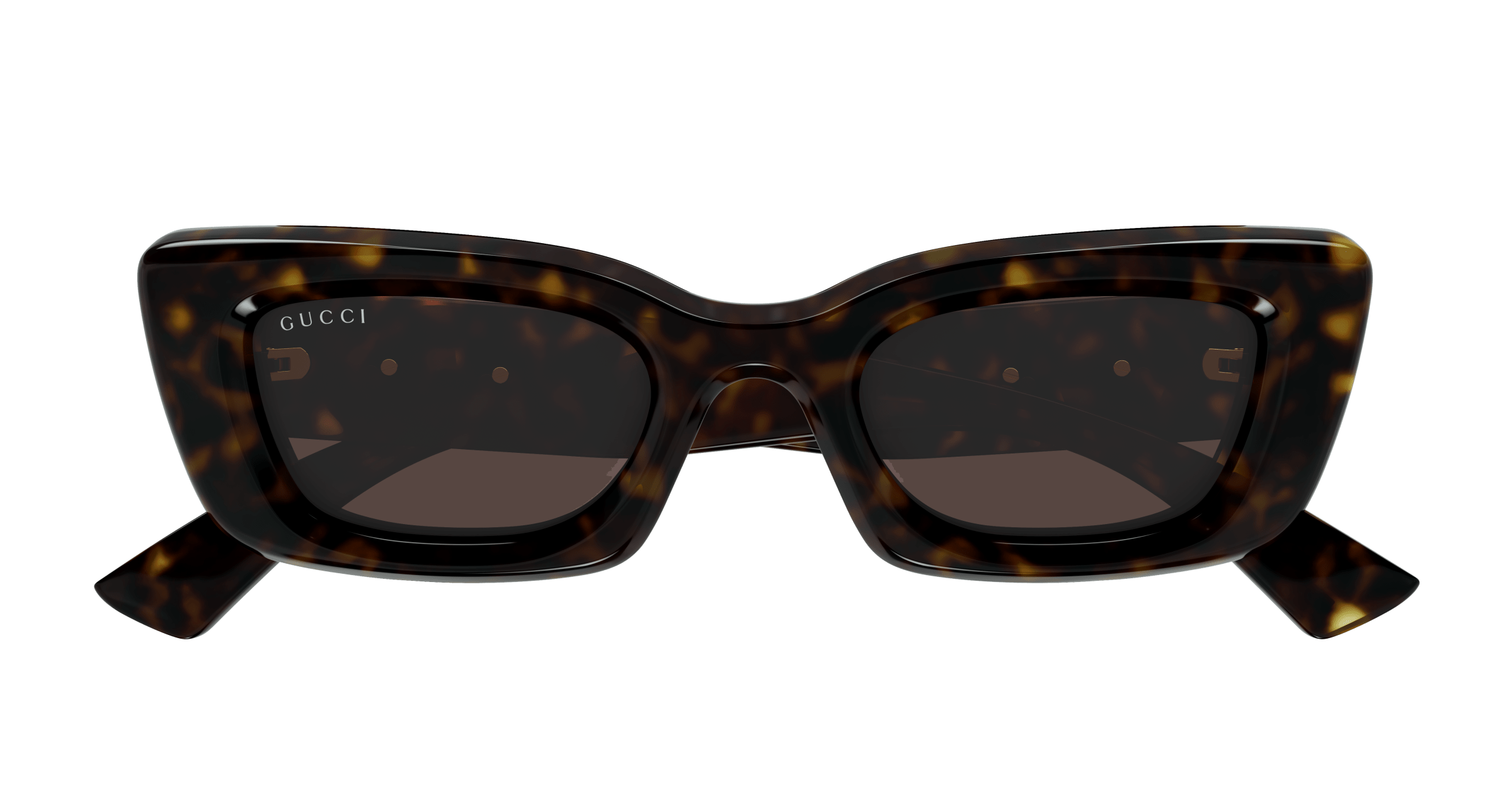 Havana Sunglasses Gucci 889652527154