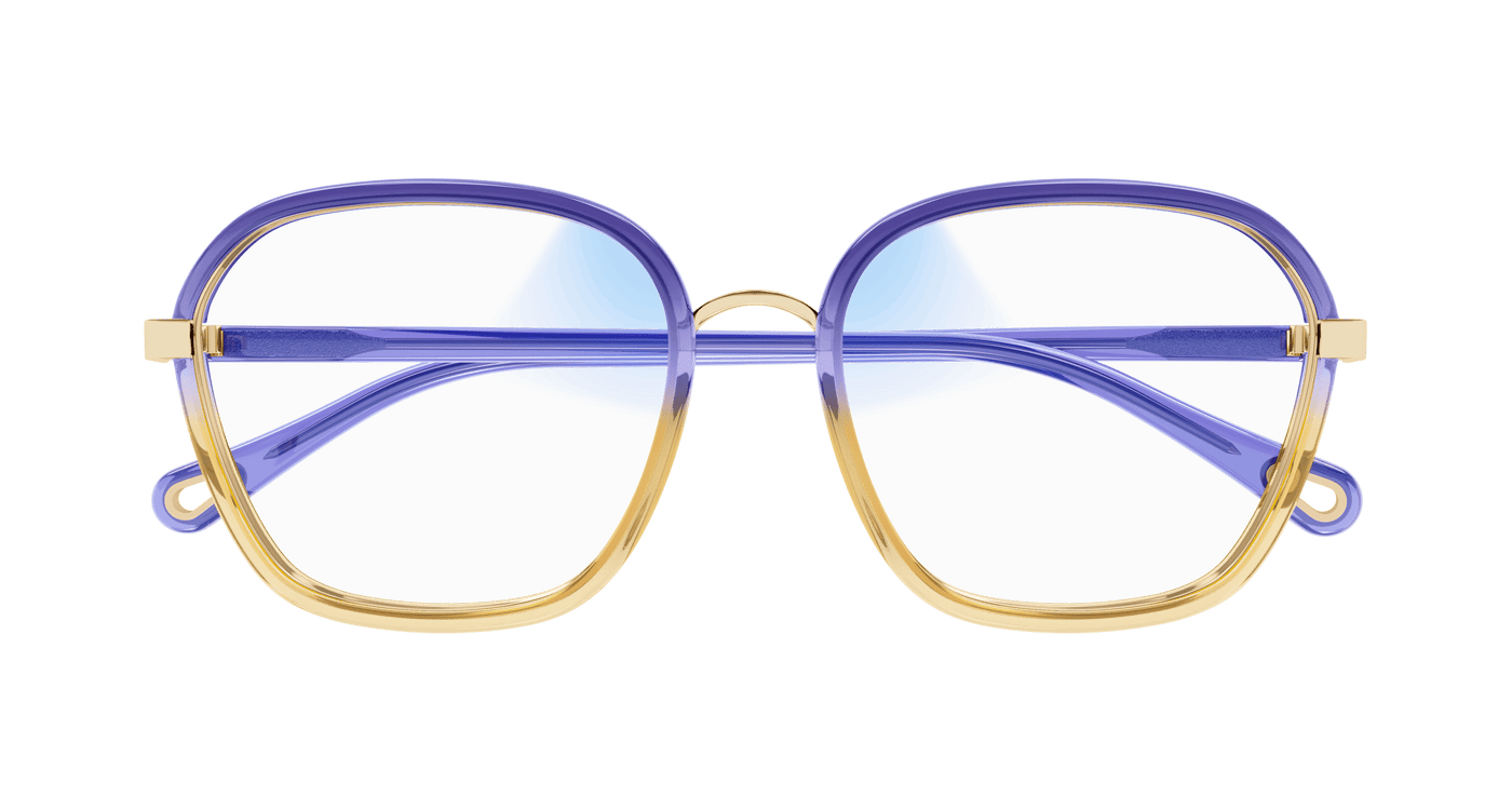 Chloe CH0309S Sunglasses 889652544557