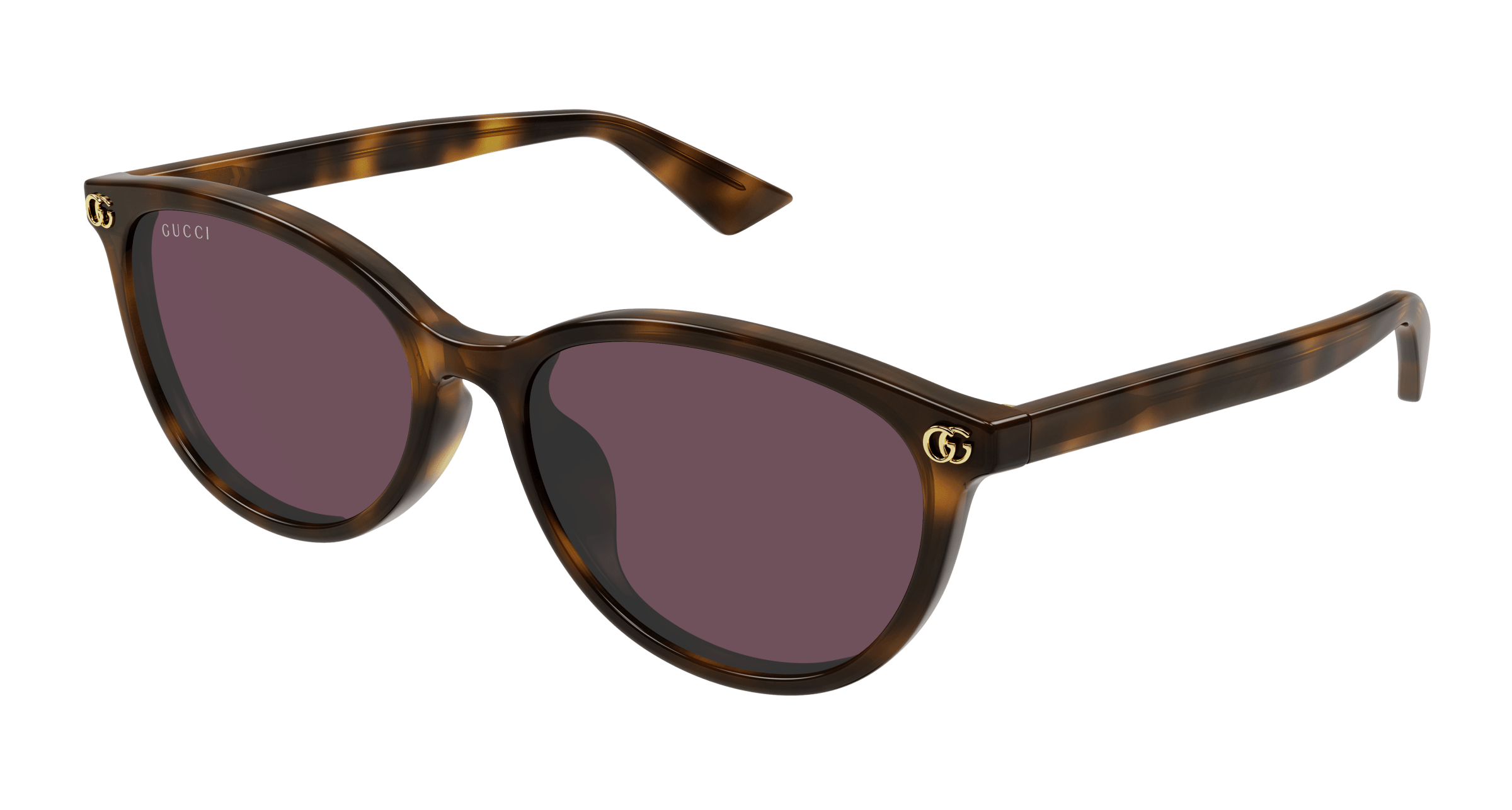 Havana Sunglasses Gucci 889652526355