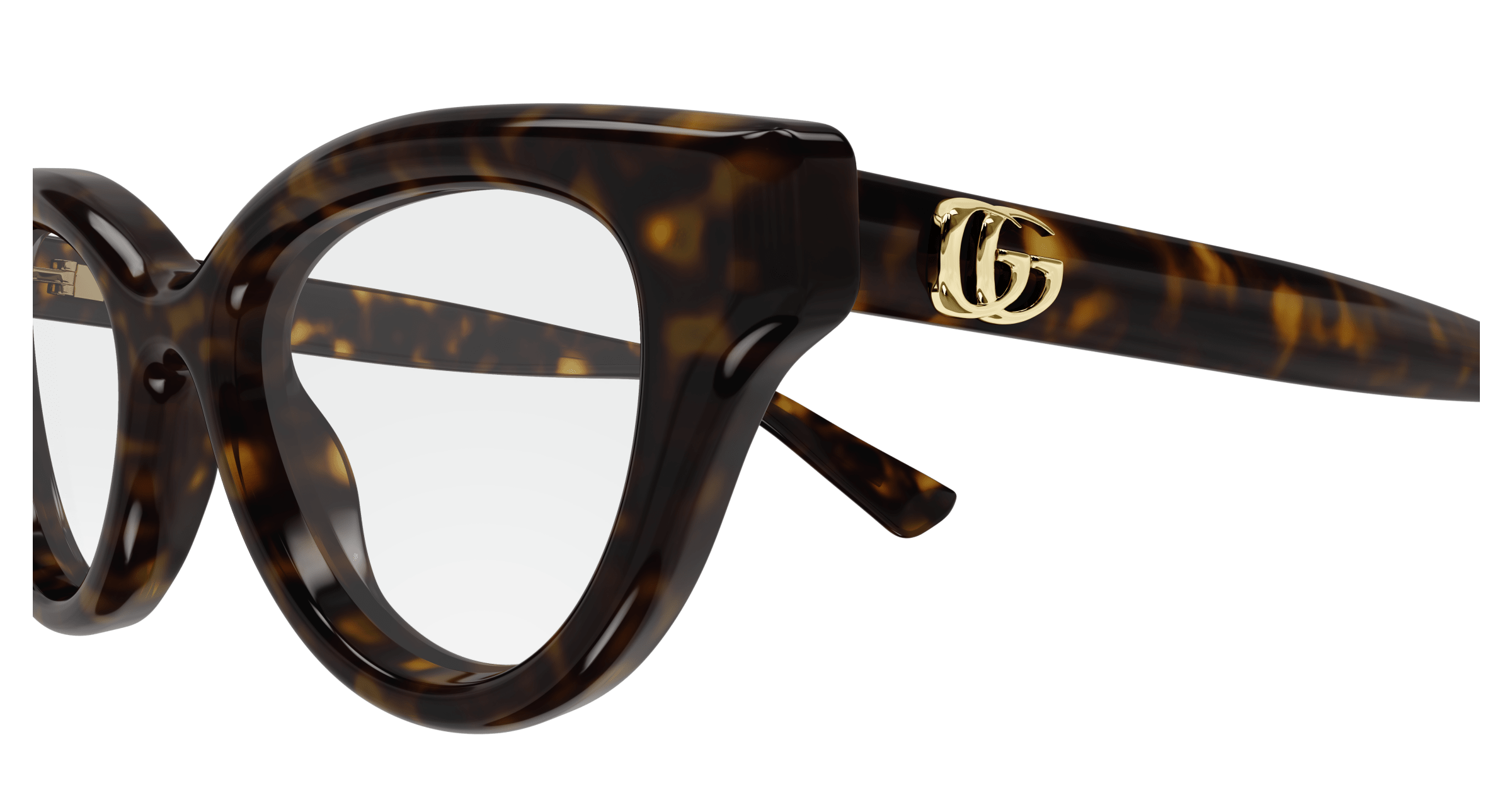 Havana Eyeglasses Gucci 889652530284