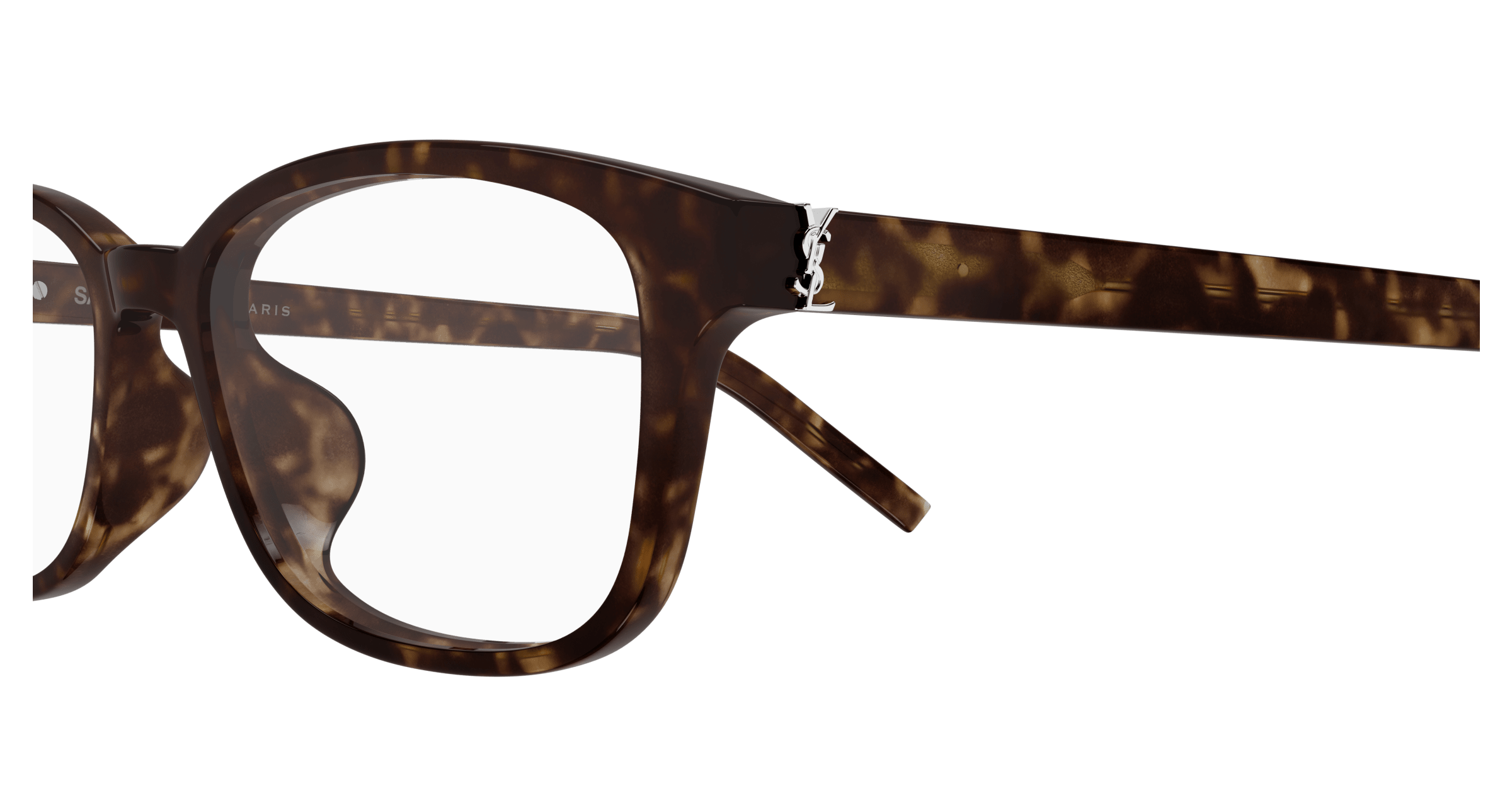 Havana Eyeglasses Saint Laurent 889652556642