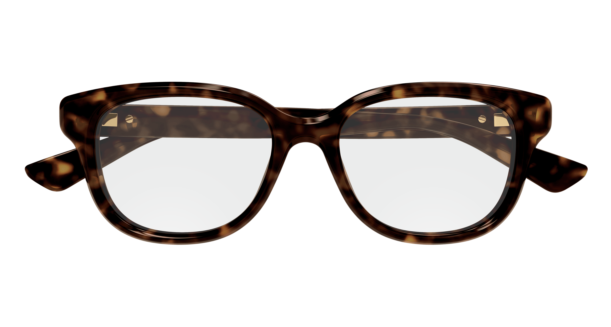 Havana Eyeglasses Gucci 889652525839