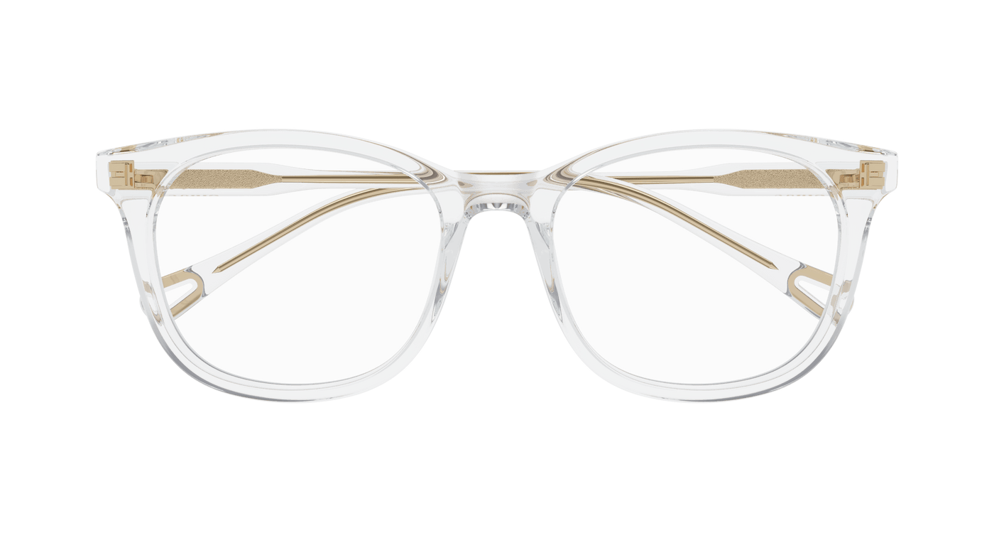 Chloe CH0314OA Eyeglasses 889652544694