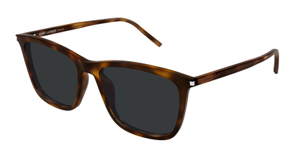 Saint Laurent SL 851 Havana 892 889652614892