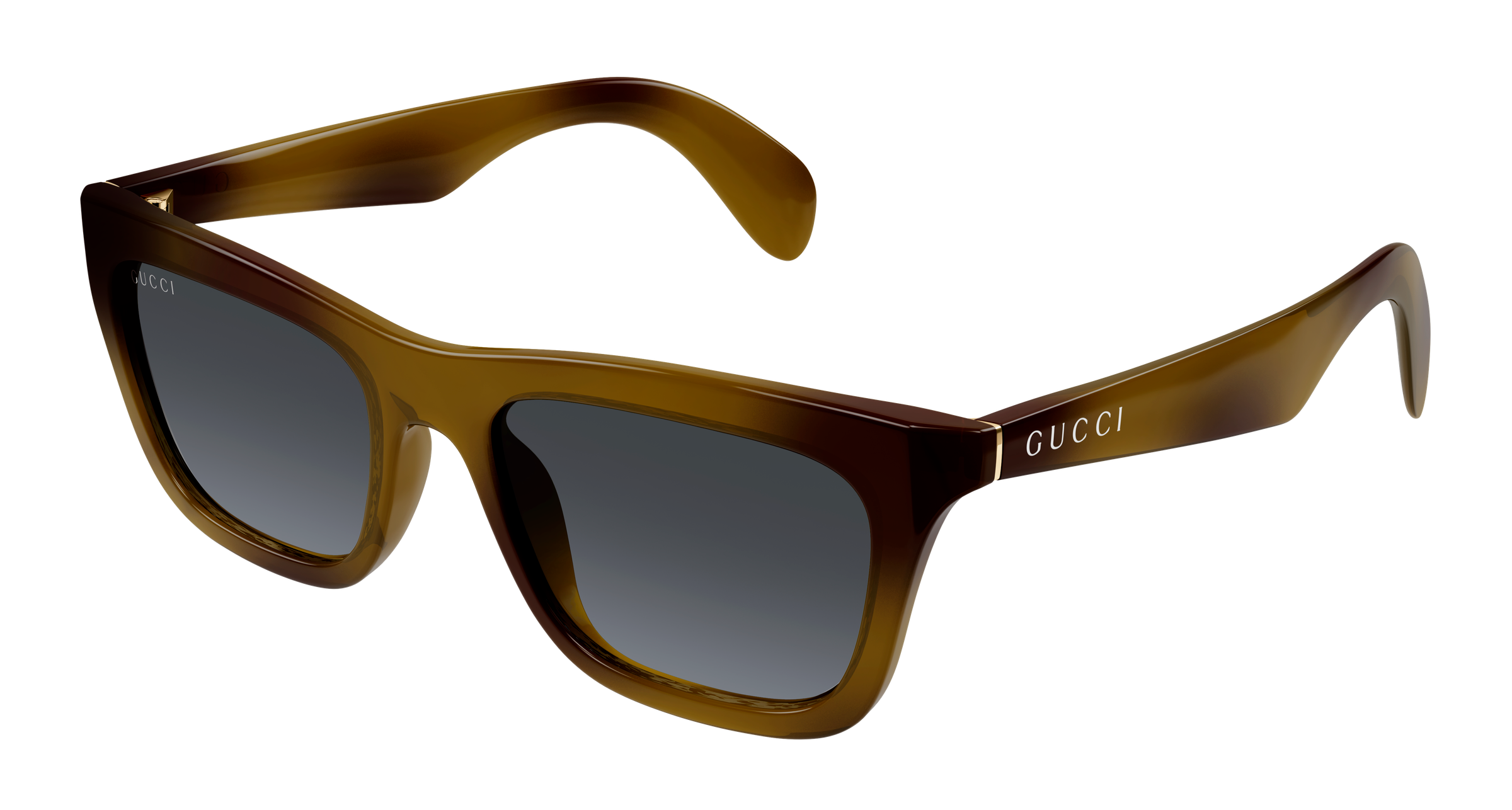 Gucci GG1933S Havana 003 889652570358