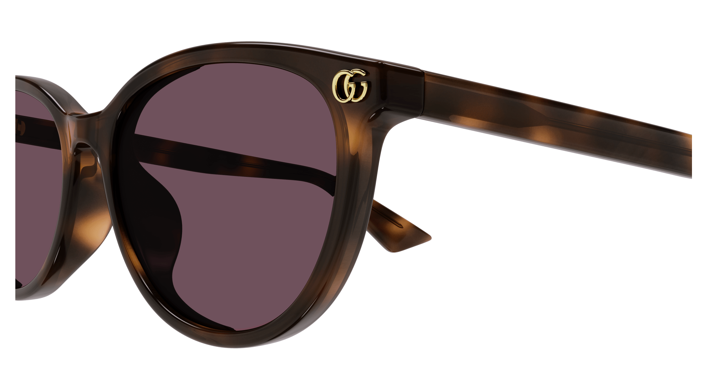 Havana Sunglasses Gucci 889652526355