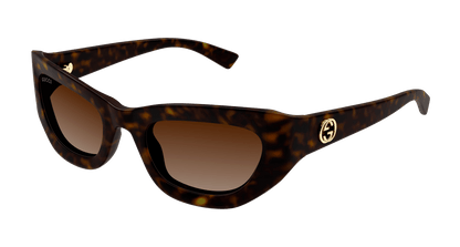 Gucci GG1784S Havana 889652531472