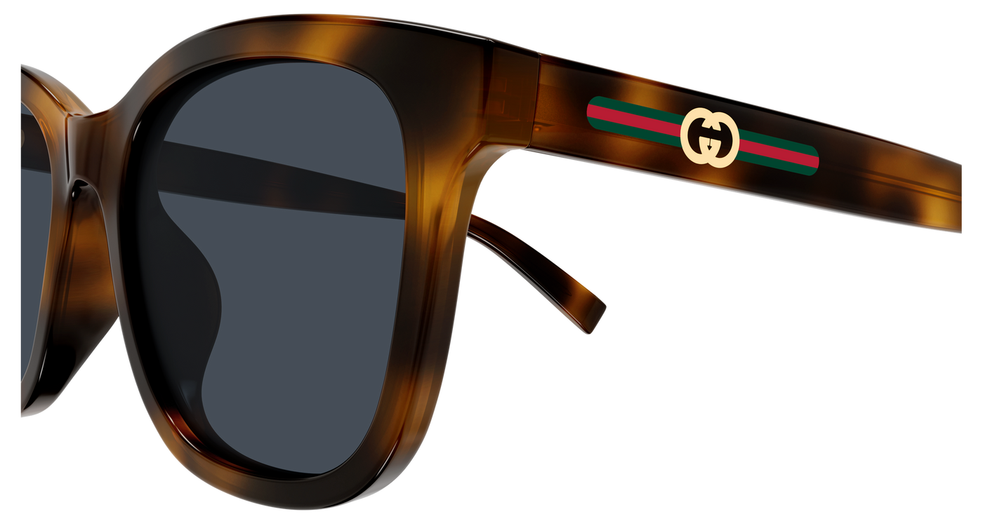 Gucci GG1984SK Havana 002 889652570853