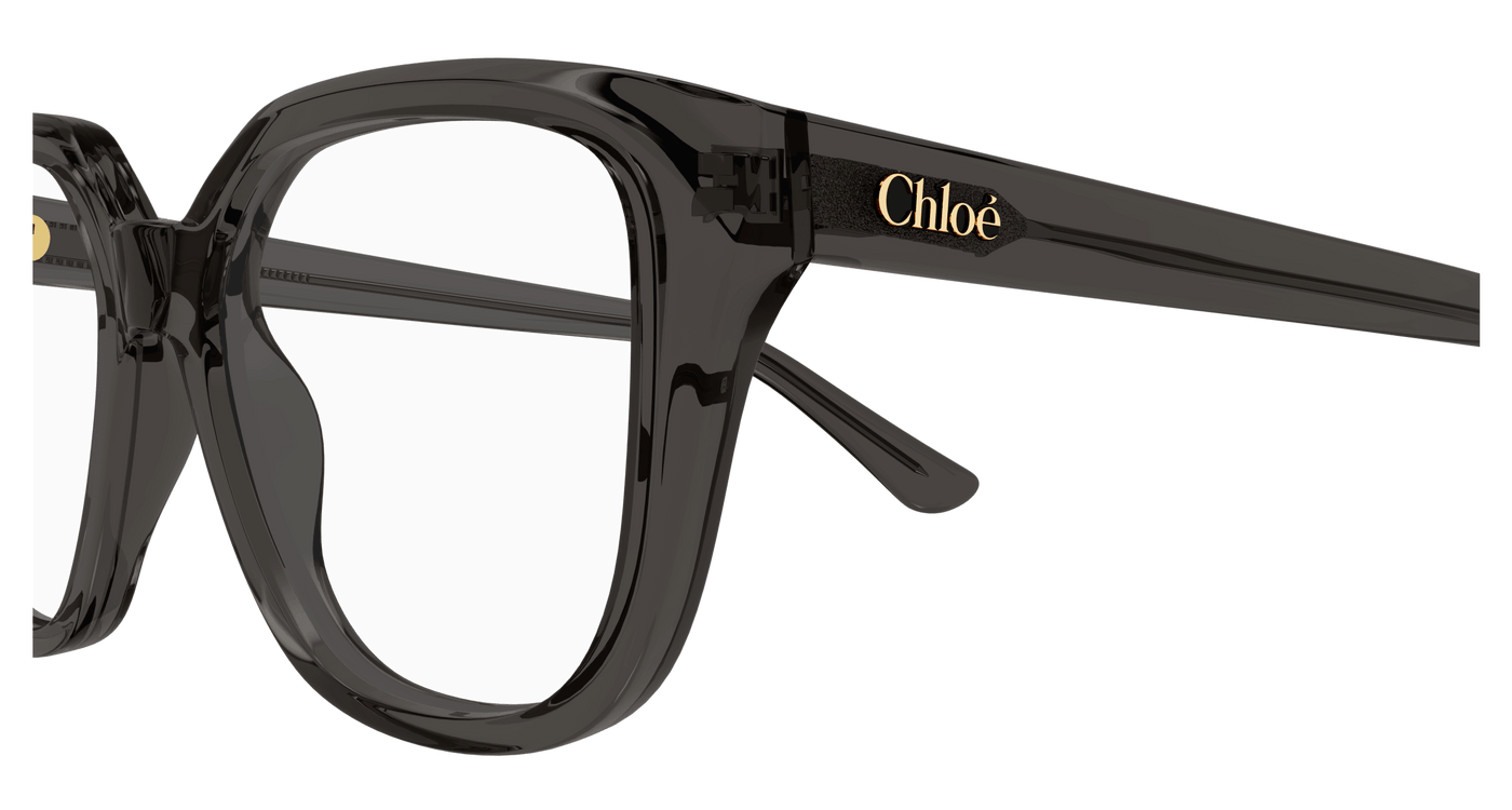 Chloe CH0293O Eyeglasses 889652543772
