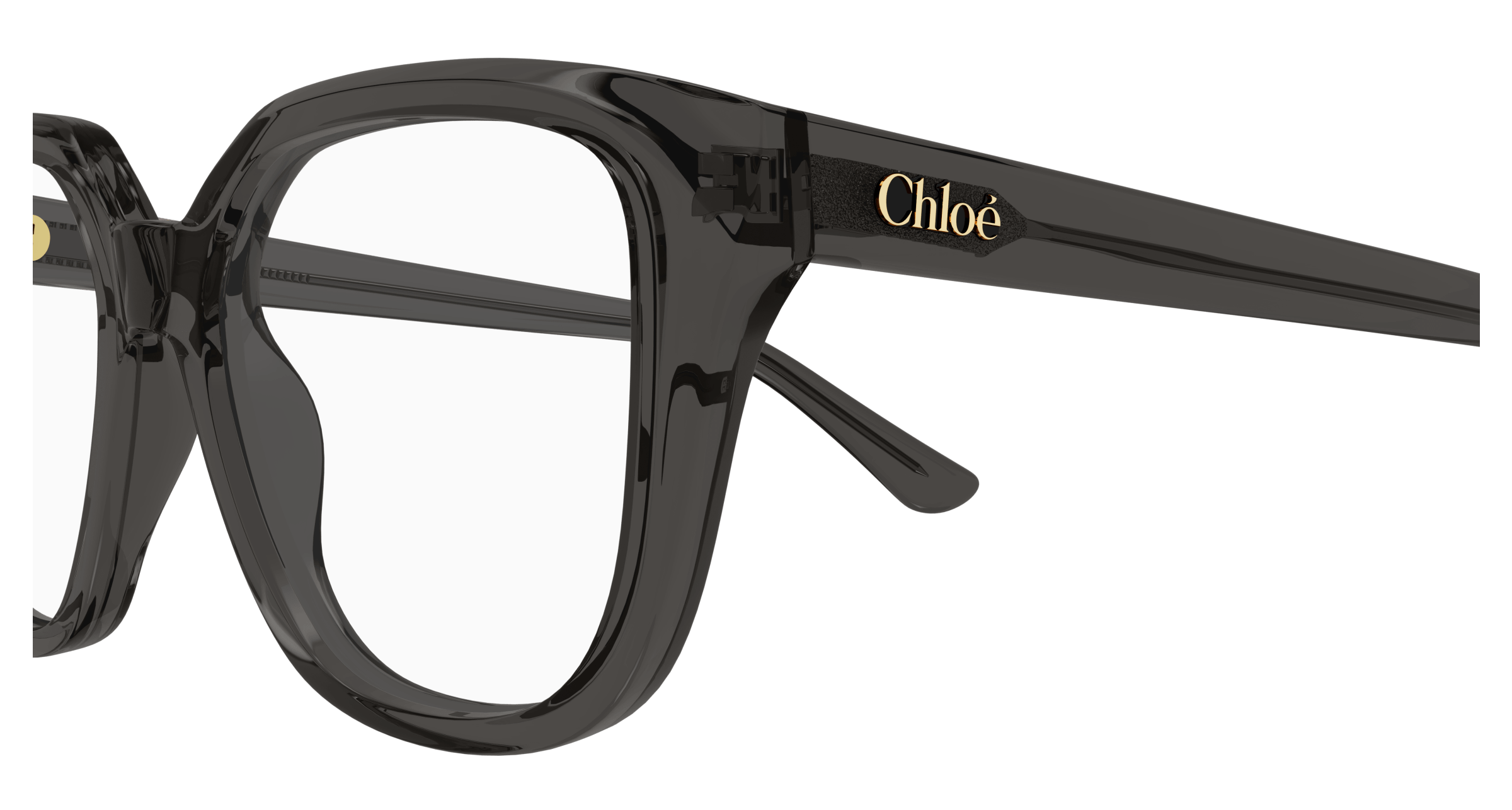 Chloe CH0293O Eyeglasses 889652543772
