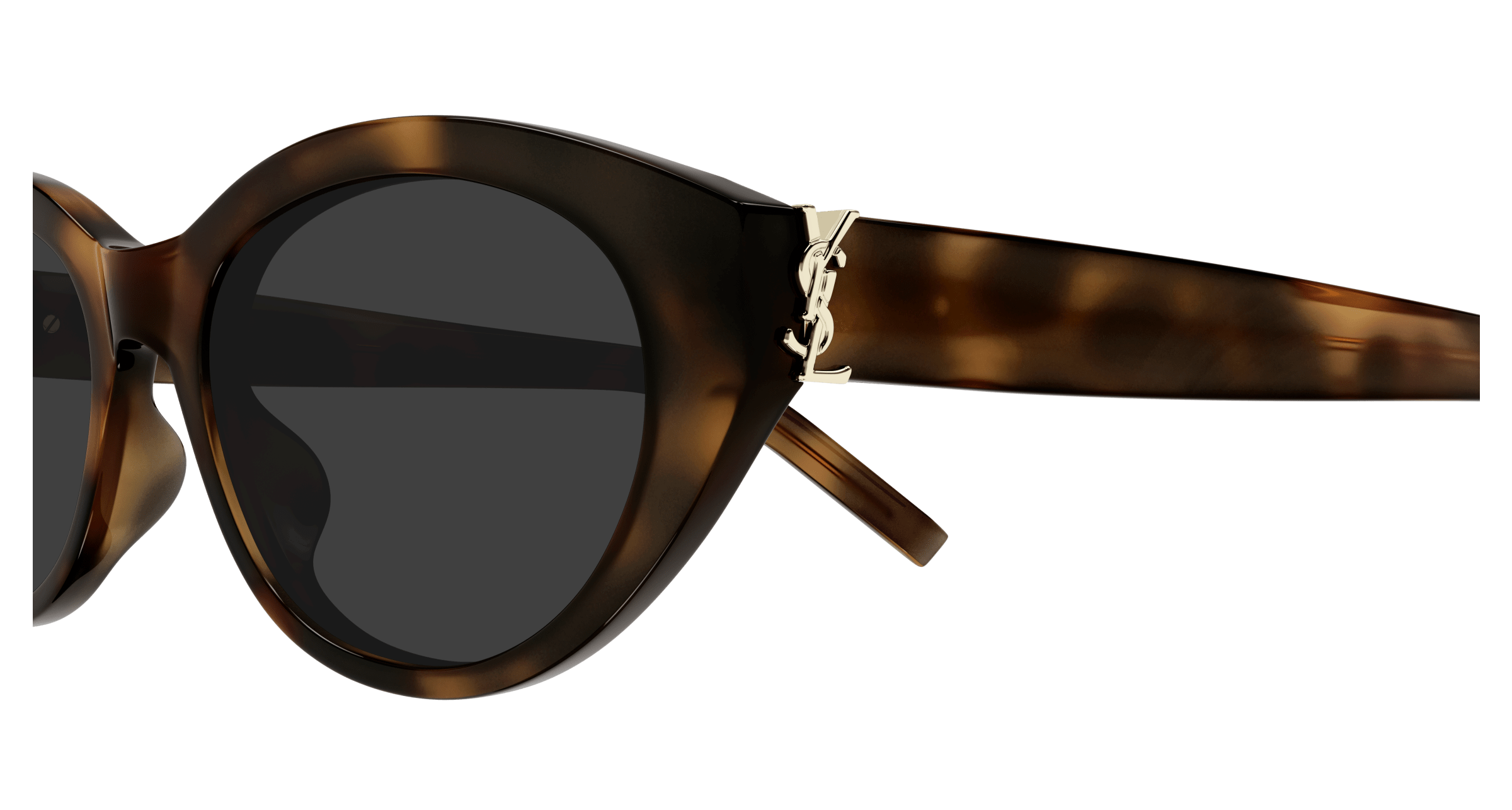 Havana Sunglasses Saint Laurent 889652556413