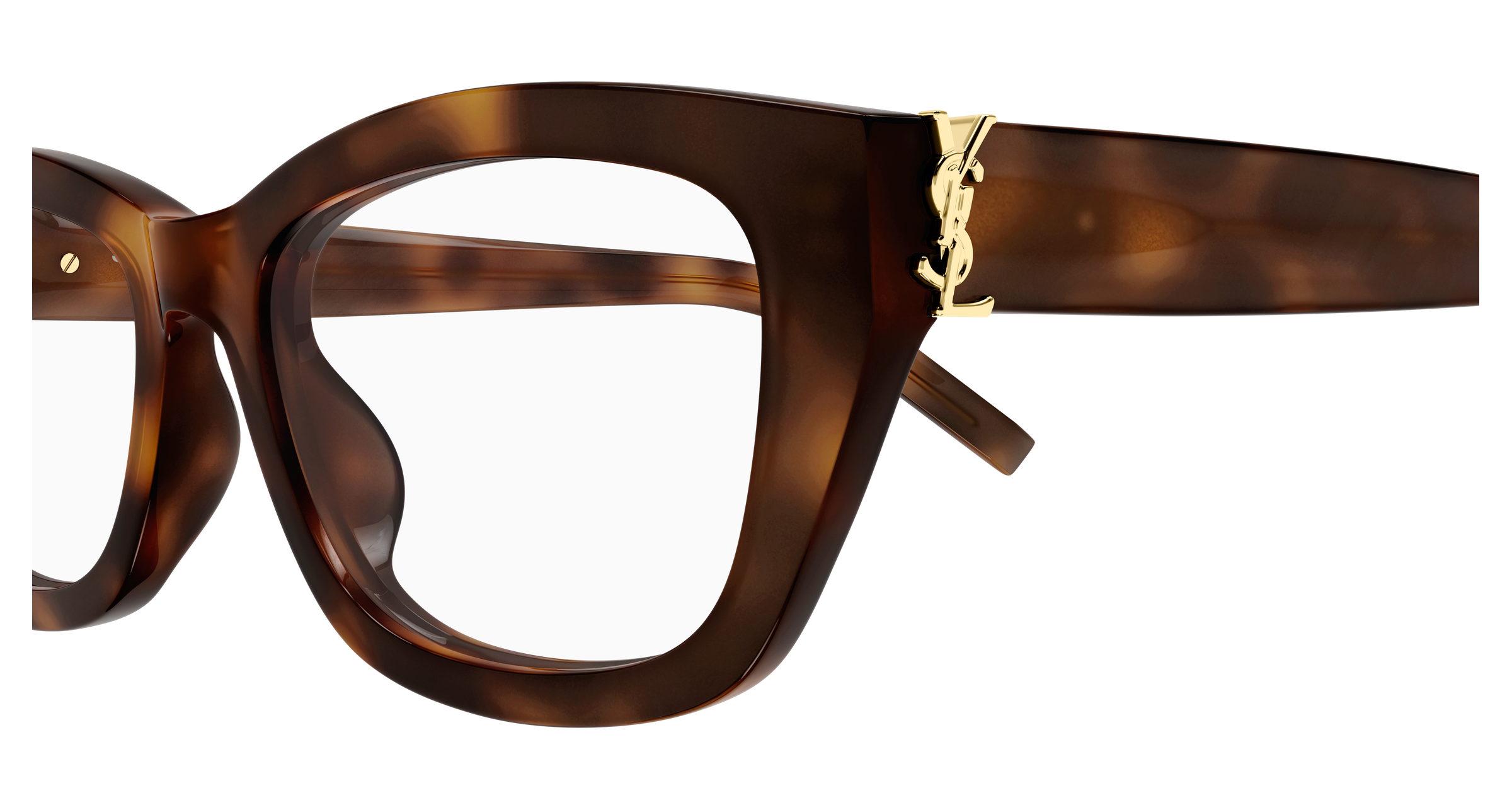 Saint Laurent SL M153 OPT Havana 248 889652606248