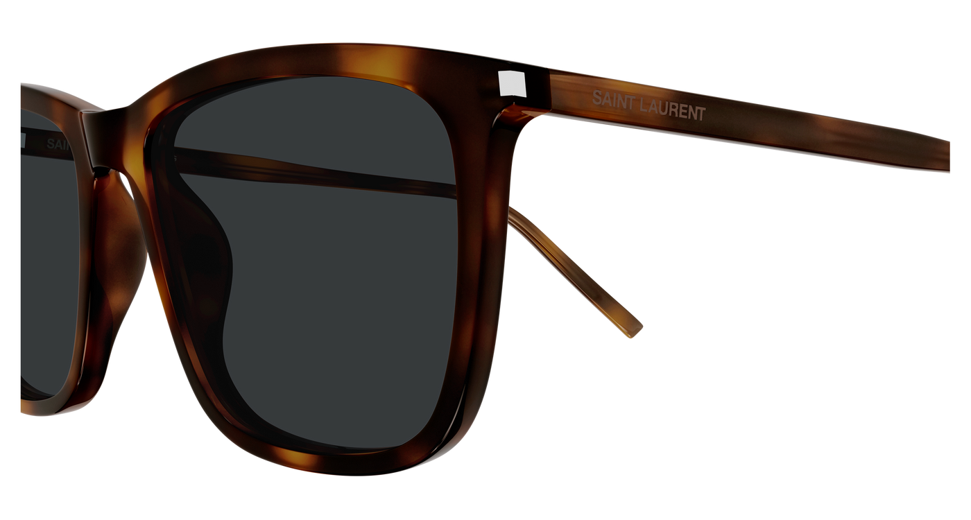 Saint Laurent SL 851 Havana 892 889652614892